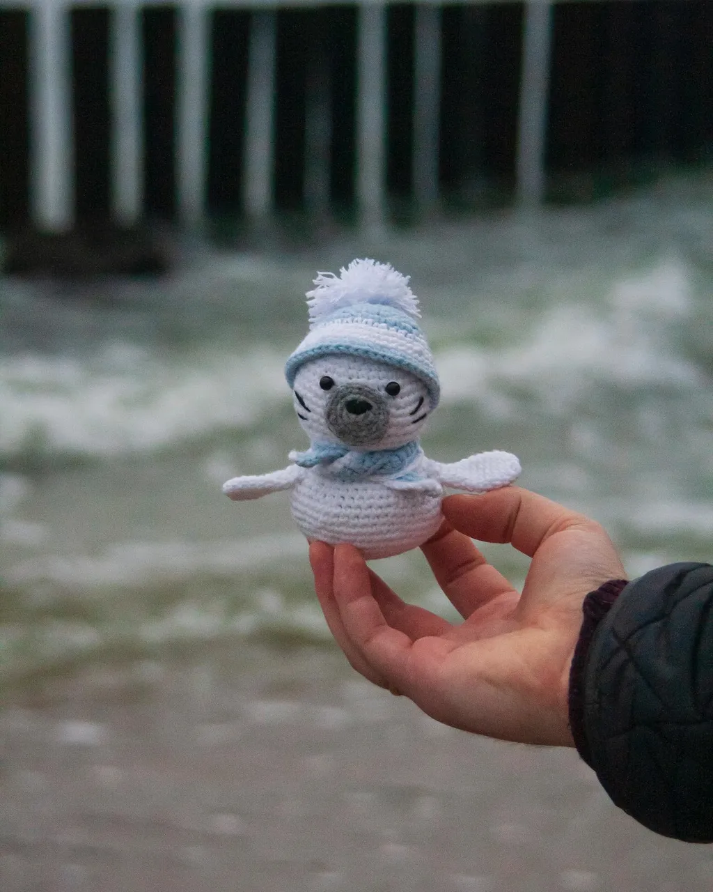 🦭Тюлень в шапочке 
🦭1500р , доставка по стране , области 
🦭шапочка снимается 

#тюлень #калининград #калининградскаяобласть #ручнаяработа #ручная_работа #вязаниекрючком #вязание #море #балтийскоеморе #тюлени #игрушки #игрушкикрючком #ручнаяработаназаказ #светлогорск