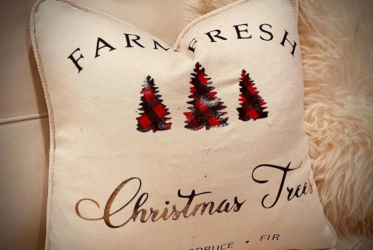 It’s Christmas at SUEDEKLOTH! pick up your American made holiday decor and celebrate your Christmas worth luxury quality decor! Order before December 15th to get in time for Christmas. Psssstttt…. Home decor makes wonderful gifts!
#homedecor #homedecoration #homedecorating #christmasdecor #christmastree #christmasdecorations #madeinamerica #americanmade #usa🇺🇸 #america #merica