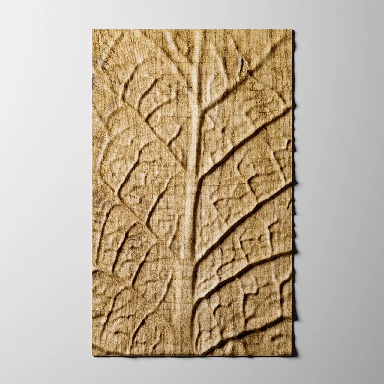 Leaf texture on wood. Let nature in your home in a contemporary way. Get it and make it https://www.etsy.com/listing/1322932563 #walldecor #livingroom #cncrouter #wooddesign #woodart #wallart #cncwallart #mdfwallart #livingroomdecor #cncdesign #wallpanels #homeinterior #cnc #3dprinting #reliefcarving #woodcarving #woodwallart #stlfile #carvedwood #woodwalldecor #decorativepanels #wallhanging #bohodecor #3dpanel #digitalfile #etsyshop #etsyfinds #shopsmallbusiness #etsysale #etsytribe