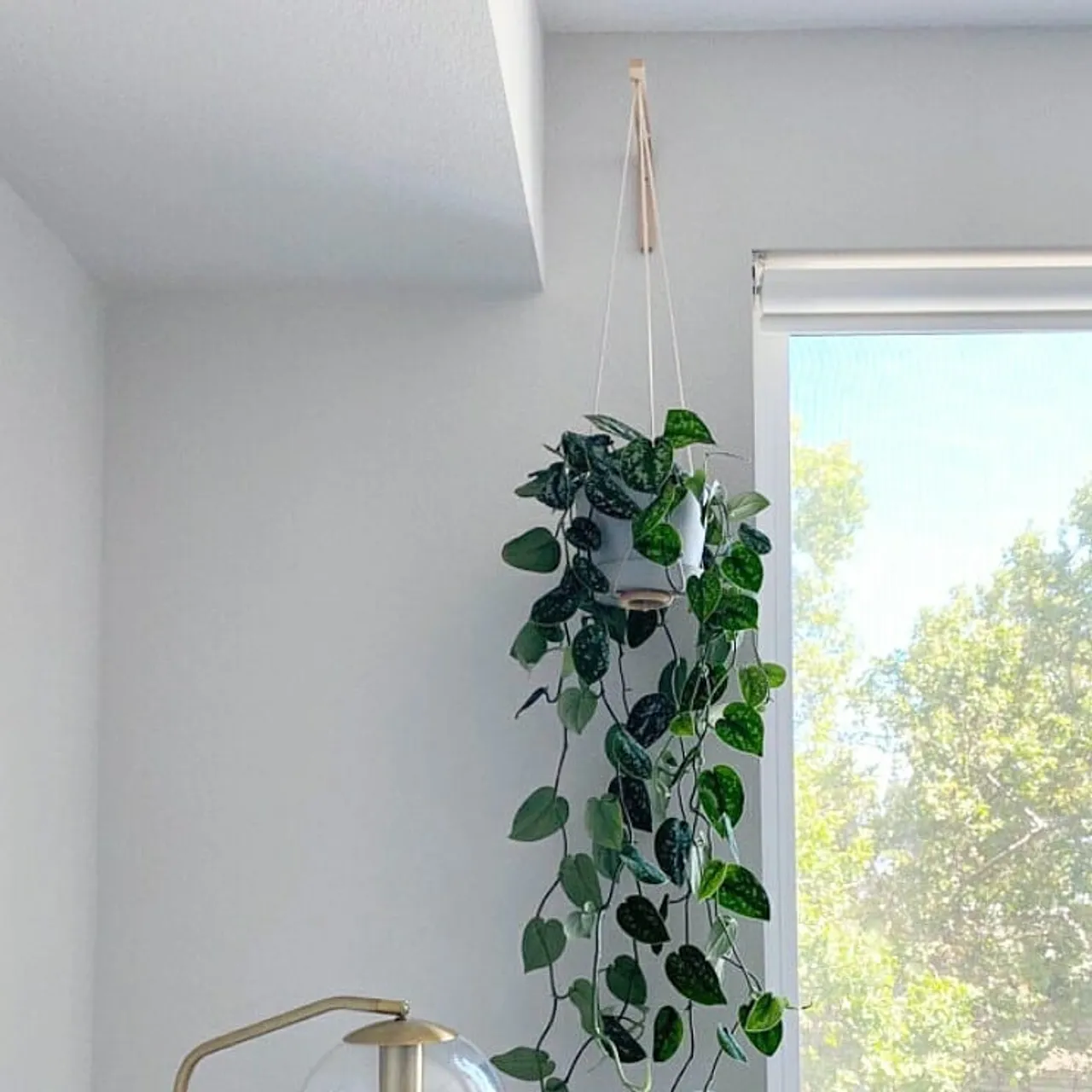 Always dreamed of BRINGING the OUTDOORS INSIDE?
As humans living in a modern world, we spend most of our time indoors. However, we also enjoy being outdoors as well! Our PLANT HOOK is a perfect way to enjoy both!

This week we'll be sharing few tips on how to design a space with touches of nature to get some inspiration while staying at home.
.
.
.
.
.
.
.
.
.
.
.
.
#indoorplants 
#planthanger
#hangingplants
#interiordecorating
#plantsarefriends
#decorispo
#peoplewithplants
#handmadegifts
#mydomain
#etsyseller
#scandinavianhome
#simpleliving
#greenhome
#scandibohohome
#mymodernlook
#handmadeisbetter
#shopsmall 
#plantsarefriends