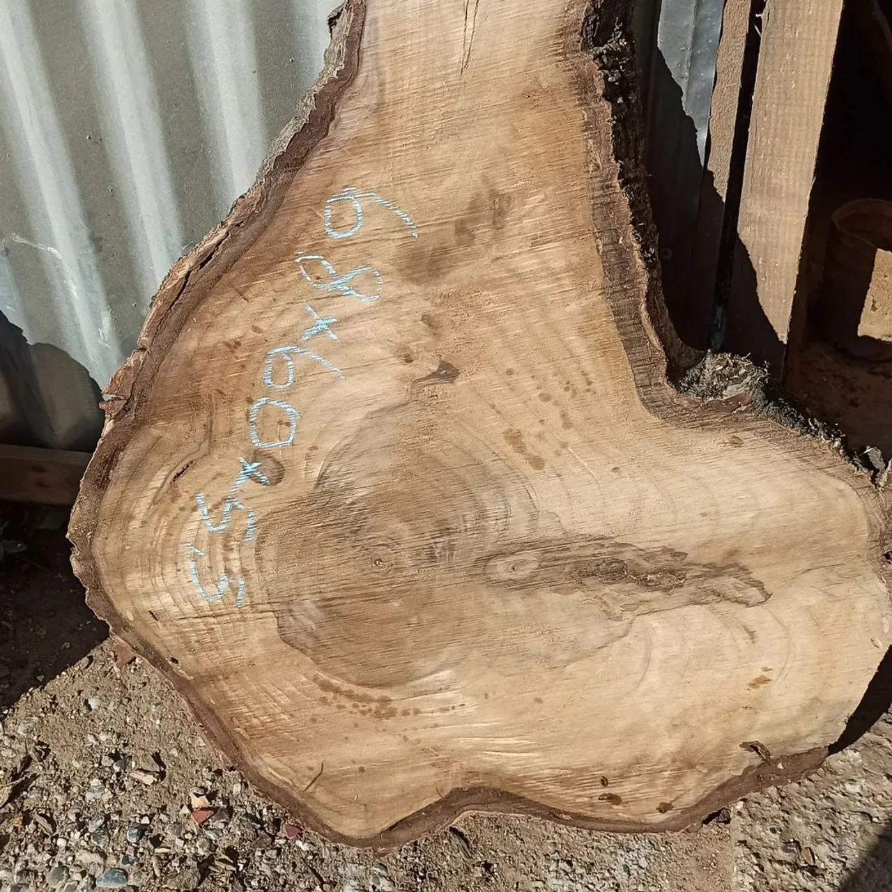 Walnut.