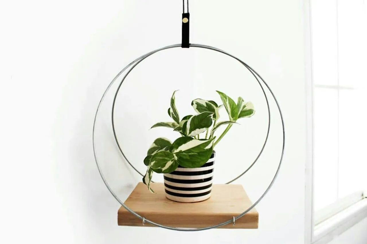 I have to admit, I'm addicted to PLANTS! These days, I can't think of nothing else but PLANTS! 
Are you a plant lover?

A little PEEK at another product I'm working on. FOLLOW US on our following posts, we'll give you some tips on how to grow indoor plants🌿🌱
.
.
.
.
.
.
#homedecor #interiordesigntrends #interiordesigning 
#planterior #plantholder #plantstyle #apartmenttherapy
#hangingplanter #homestyling #ethnicadesigns #ethnica_designs #interior_and_living #planter #urbanjungle
#bohemianhome #plantlover #homedecor 
#plantaddict #indoorjungle #houseplantsofinstagram