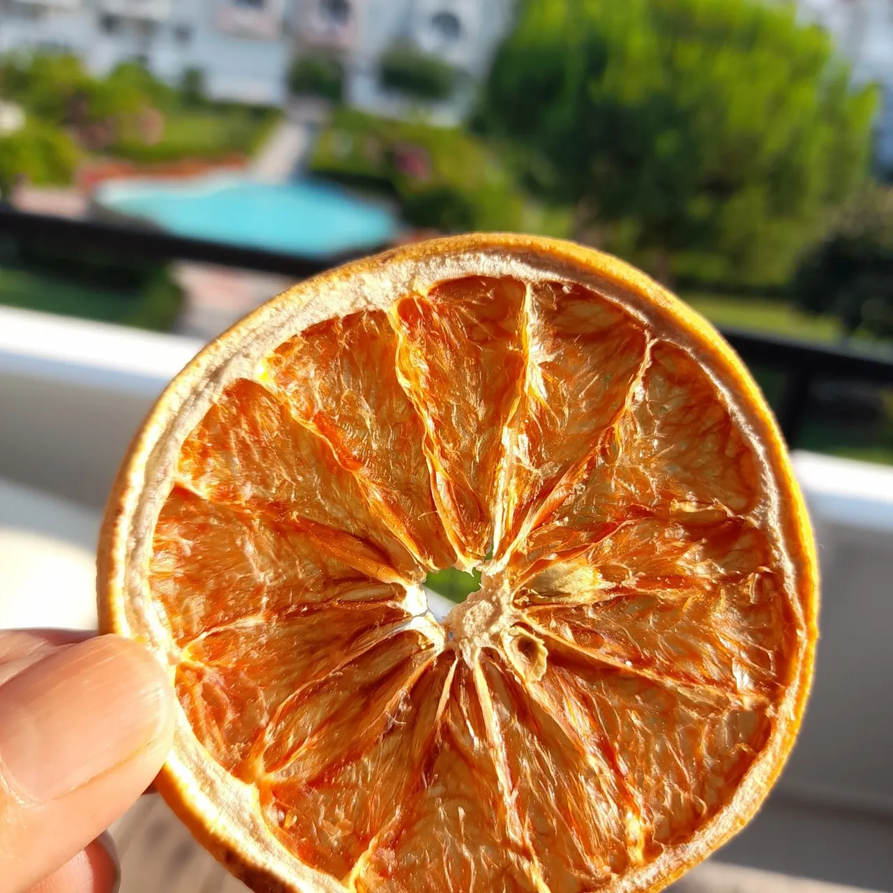 Dried Natural Orange Slices | Organic Dried Orange | Premium Orange Slices | Sun Dried Orange Slices

#etsy #etsyshop #etsyseller #etsysellersofinstagram #homemade #orange #orangeslices #driedorange