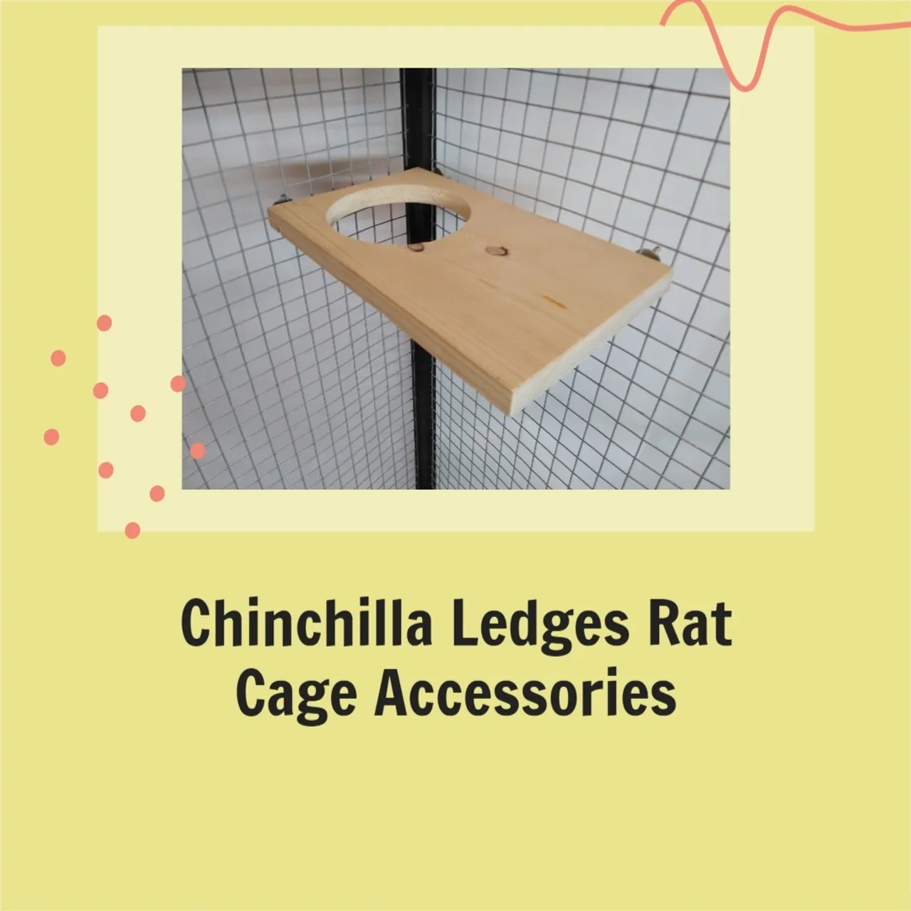 These shelves are made from 100% pine wood, and come with hanging hardware, so they can attach to the bars of your cag. #chinchilla #rat#ratsofig #ratstagram #ratties #ratlove #petrat #instarat #ratlover #rodent