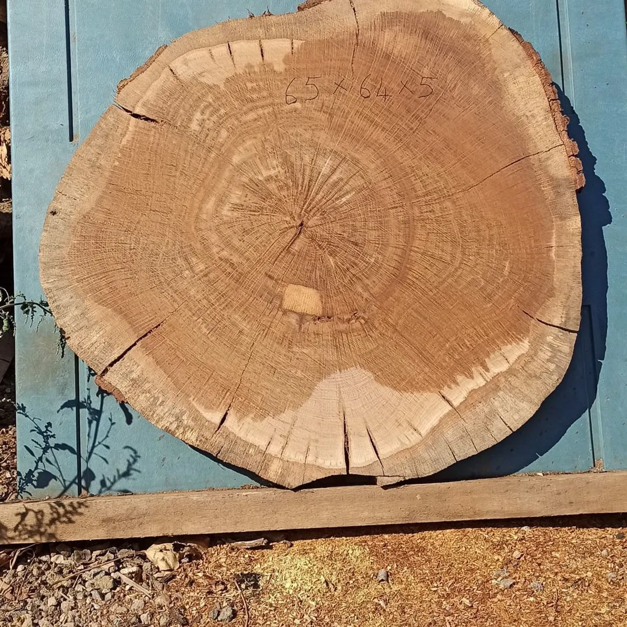Antik meşe 4 yıllık kuru.
.
.
.
.
.
.
.
#wood #epoxy #ahşap #meşe #antikmeşe #kütük #epoxytable #masa #yemekmasasi #natural