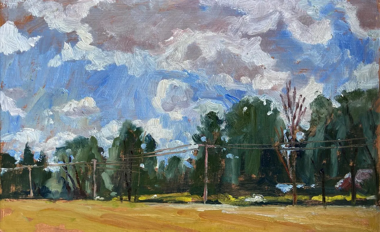 3 little oils from a field in August. The trees are pretty good models, but clouds won’t hold a pose. 6x9 panels #berkshires #berkshireslandscapespaintings #pleinairlandscapepainting #berkshiresfineart #berkshirespleinair #southcountyberkshires #paintingsoftheberkshires