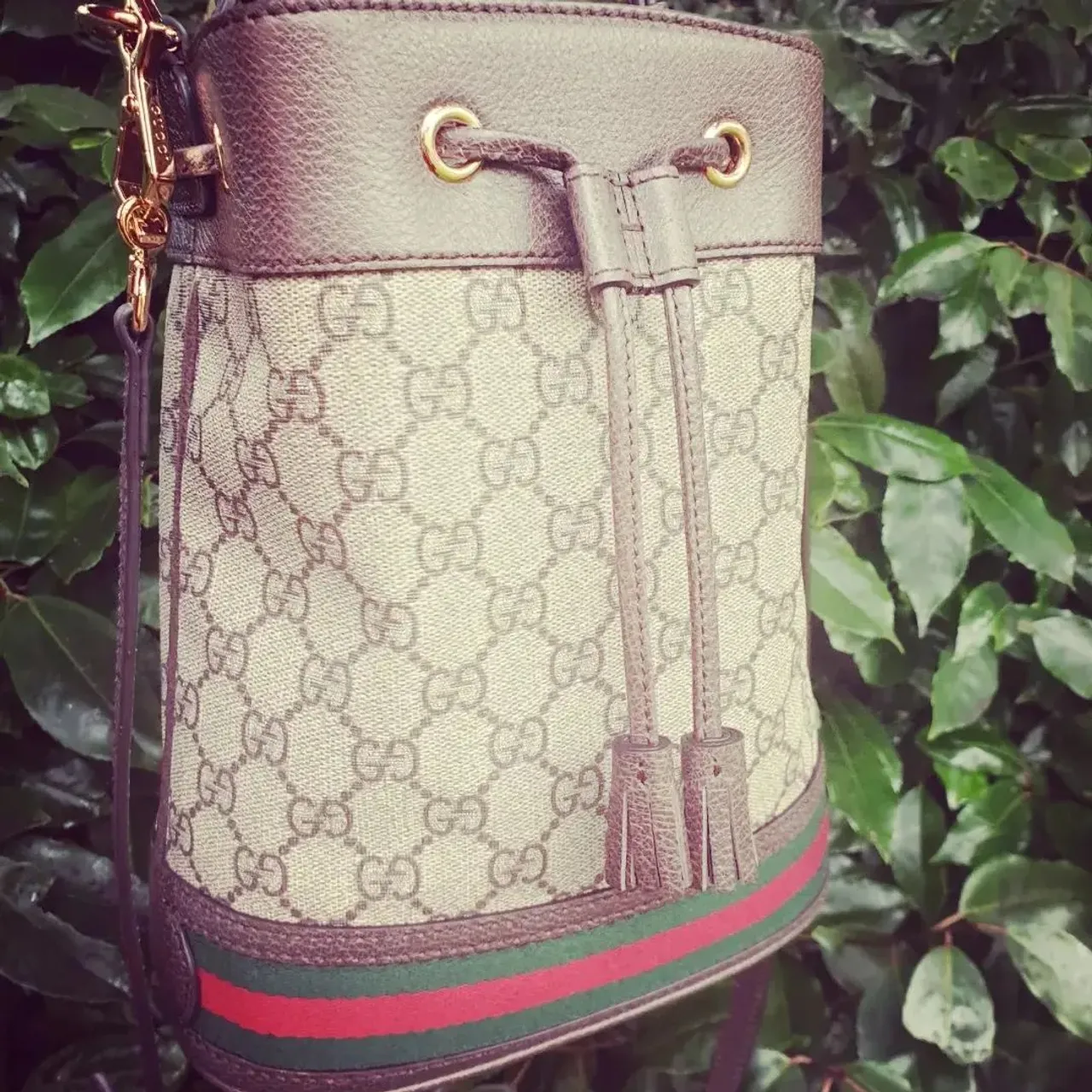 Just a little run of some beautiful Guccis.
Bought with the help of @addictedtohandbags1 and @designer_de_amore as well as my own personal purchase in @harveynichols_edinburgh 
❤
The price difference varies, working down from new retail, to preloved, to vintage....there is something for everyone. 
💚
If your heart is set on this brand, don't hesitate to seek your next bag with these sellers or in the boutique
🤎 
As always bag organisers and shapers available for all of them and others on
Www.luxurybagheaven.com 
#gucci #guccimarmont #gucciophidia #gucciaddict #vintagegucci #edinburghbusiness #edinburgh #bagorganizer #baginsert #ggmarmont #minimarmont #gg #opihidia #bucketbag