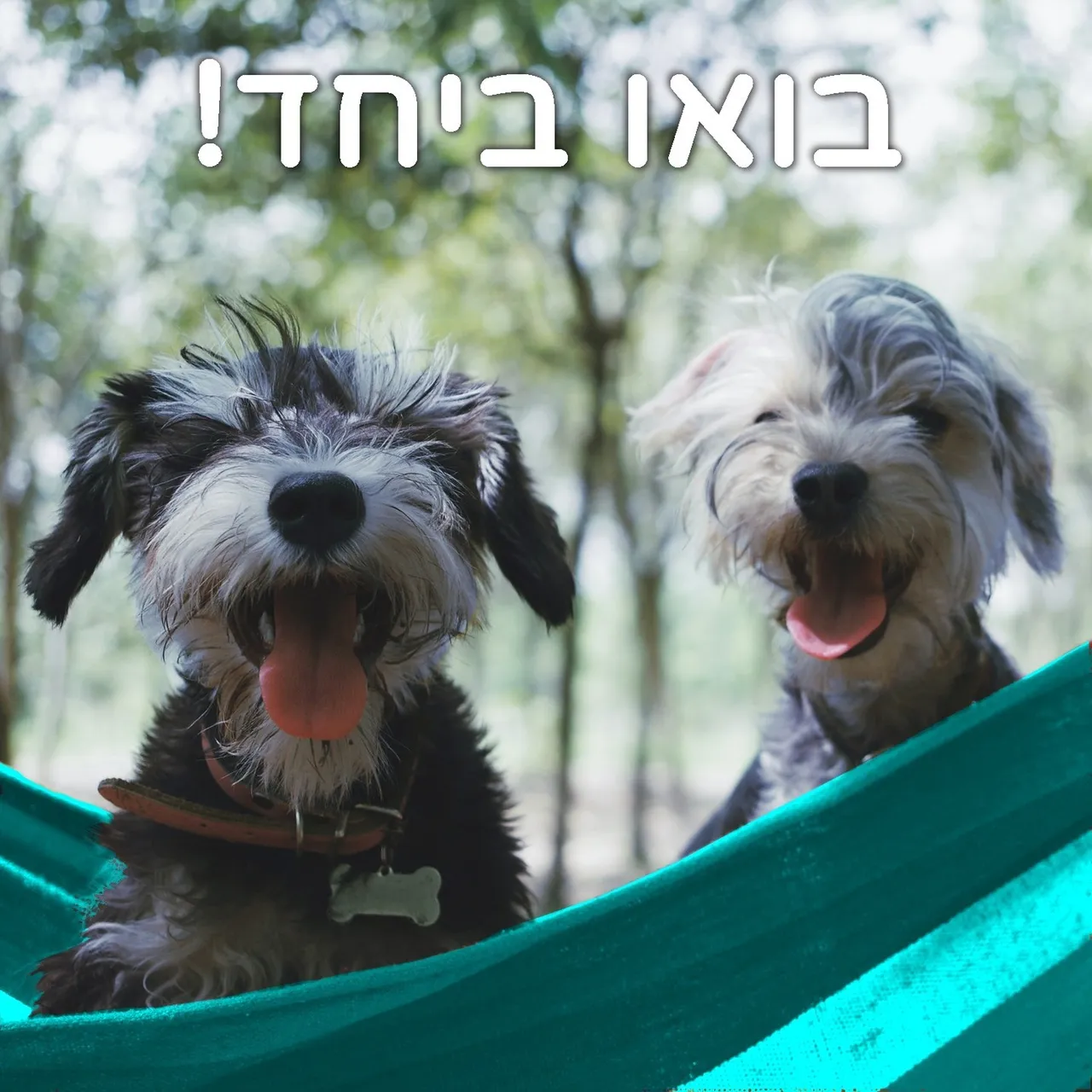 סדנאות הצורפות לנוער חוזרות בחופש הגדול - והכי כיף לבוא עם חברה🥳👏💛
סדנה פעילה בדגש על הכרת טכניקות יסוד בתכשיטנות ובצורפות. יחס אישי ויצירת תכשיטים בפועל, מאפשרת לכל אחד להכיר "דרך הידיים" את העולם המרתק של צורפות מסורתית במתכות יקרות ואבני חן והתוצאה – תכשיטים בעיצוב אישי לשימוש אישי של הנער או הנערה או כמתנה לאדם אהוב.
משך הסדנה:
ארבע שעות פעילות ביום בין השעות 14:00-18:00
איפה צורפים:
סטודיו חלום צרוף, במרכז עינב (ישפרו) במודיעין
בחופש הגדול - יולי ואוגוסט 2022:
ימים שני עד חמישי, 4-7 ביולי, 2022 בשעות 14:00-18:00 - נותרו מקומות אחרונים!!
ימים שני עד חמישי, 11-14 ביולי, 2022 בשעות 14:00-18:00
ימים שני עד חמישי, 1-4 באוגוסט, 2022 בשעות 14:00-18:00 - נותרו מקומות אחרונים!!
20% הנחה מפנקת
בהרשמה המוקדמת
קוד קופון: NOAR20
מחירון בהרשמה מוקדמת:
יום בודד: ₪472 (במקום ₪590)
ארבעה ימים מלאים: ₪1580 (במקום ₪1975)
המחירים למשתתף/ת כוללים חומרים, כלי עבודה, כיבוד קל וביטוח.
חשוב שתדעו:
- אין צורך בידע מוקדם
- הסדנה מיועדת לבני ובנות 12 ומעלה ומתאימה גם לקבוצת חברים
- הסדנה מתקיימת בסביבה בטוחה תוך שימוש בכלי צורפות מקצועיים ובליווי צמוד של הצורפת שרון אור
- אפשר לרכוש שובר מתנה לסדנה
כל הפרטים והרשמה בקישור בביו 👇
052-3449584
חלום צרוף - תכשיטים בעיצוב אישי | בית הספר לצורפות במודיעין | לימודי צורפות (גם) אונליין | סדנאות צורפות חווייתיות | מיחזור ושידרוג תכשיטי זהב
#צורפים_צעירים #עיצוב #תכשיטים #צורפות #תכשיטנות #נוער #סדנה #קיץ2022 #מודיעין #רחובות #מכבים #רעות #יצירה #שוהם #שילת #כפררות #לפיד #חבלמודיעין #סדנתצורפות #טבעות #עגילים #תליונים #צמידים #youth #metalsmithing #workshops #modiin #summer2022 #jewelry #nofayalon