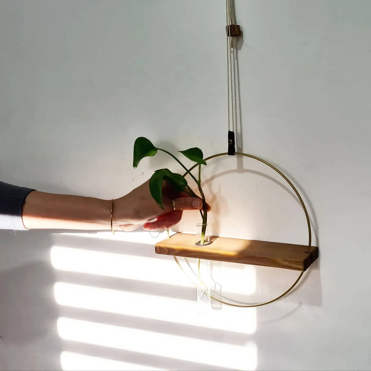 How many times did you search for a nice tool to PROPAGATE  your favorite plants?🌱 Well...Not anymore! 

I used to keep a lot of soda glass bottles full of water in which I placed cuttings of my favorite plants. After they took out roots, I planted them in a nice planter. Lately, while doing that, I've been thinking, wouldn’t be nice to have an item that not only plants can grow in, but also can decorate the space?
That's how our PROPAGATION PLANTS JEWEL was born and it can decorate your house in a modern way, add some greenery to your living space and hey! this is such a fun process that does not require much care! Just place your plant inside the glass tube and let it grow 🌱
Tap the link in our bio to shop>
.
.
.
.
.
.
.
.
.
.
.
.
#supportetsysellers
#propagationnation
#house_plant_community
#urbanjunglebloggers
#plantsmakemehappy
#houseplantsclub
#urbanjungleblogger
#plantparentcommunity 
#homedecorate
#bohemianmodern
#homedecorblog
#myhomedesign 
#plantmama
#houseplantcare
#plantlovinghome
#houseplanthome
#homedecorate
#bohemianmodern
#bohemianlook
#myhomedesign
 #ipreview via @preview.app