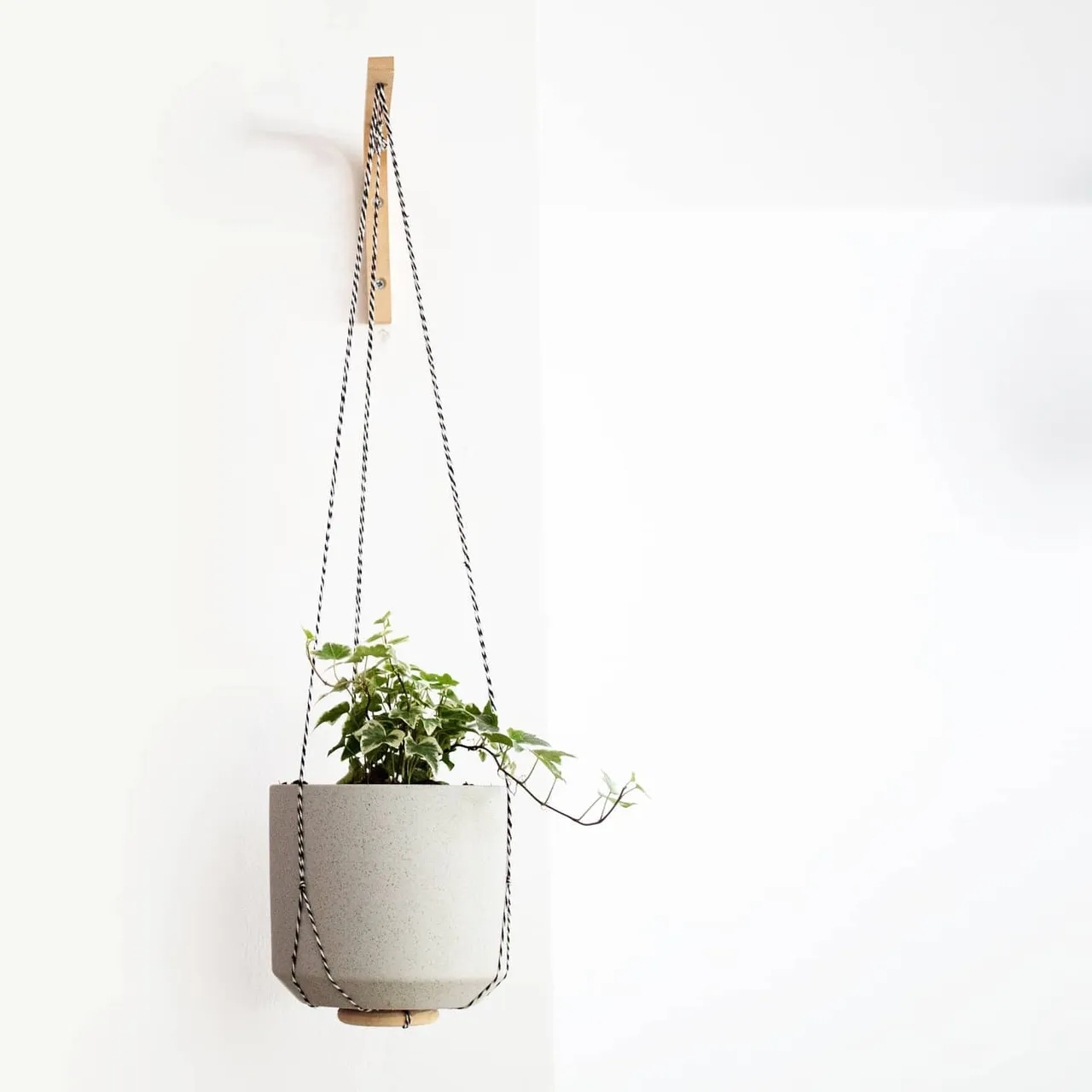 What type of plant DO YOU THINK that would look the best on our plant hanger? 🌱

We need some new styling ideas for our next set of photo shooting and would love to hear your thoughts!
.
.
.
.
.
.
.
.
.
.
#planthanger 
#urbangreenhouse
#planteriordesign 
#thatsmyplant
#homedecor 
#mycuratedaesthetic 
#ggathome 
#putaplantinit 
#indoorplants 
#plantsofinstagram 
#houseplantclub
#plantsplantsandmoreplants
#ethnicadesigns 
#urbanjunglebloggers