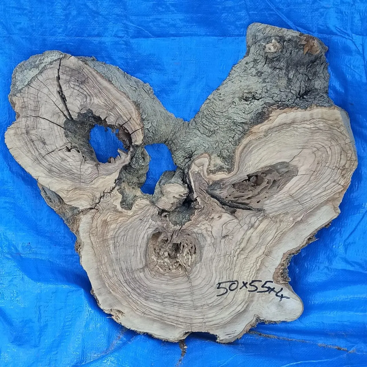 Olive wood.
#olivewood 
#olivewooddesigns