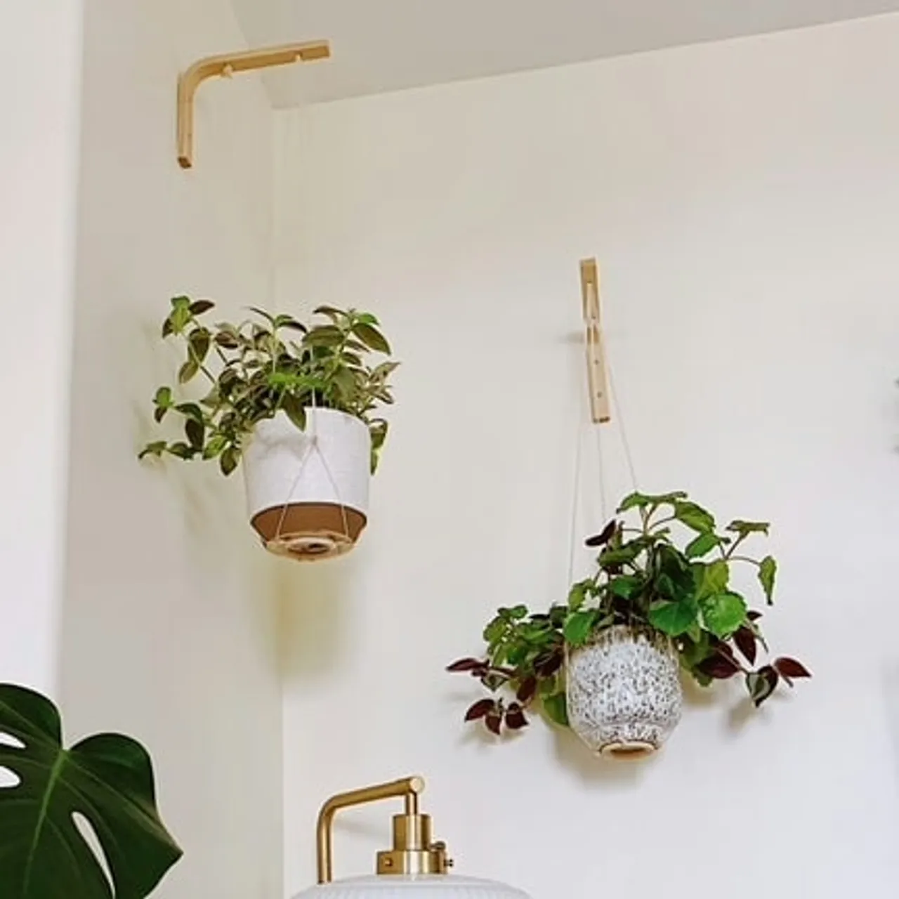 Happy Sunday everyone! Our studio is having some changes during this days. We are happy to share that we are looking for bigger studio full of light, energy and place for having our workshop. This is so exciting☺
What else makes us excited? to see our products decorates homes all around the world! Look how pretty our PLANT HANGERS looks in @jeremysizemore1 beautiful bohemian house🌿🍀🌱
.
.
.
.
.
.
.
.
#bohemianhomedecor #ethnicadesigns #interiordesigner #interiorliving
#homeandliving #boholuxe #bohemianstyle #interior_delux #homeandgarden #interiorwarrior #urbanjungle #plantsarefriends #apartmentdecor #instaplant #plants #bohostyle #homedecor #homedesign
#homedesign #myinterior #nordichome