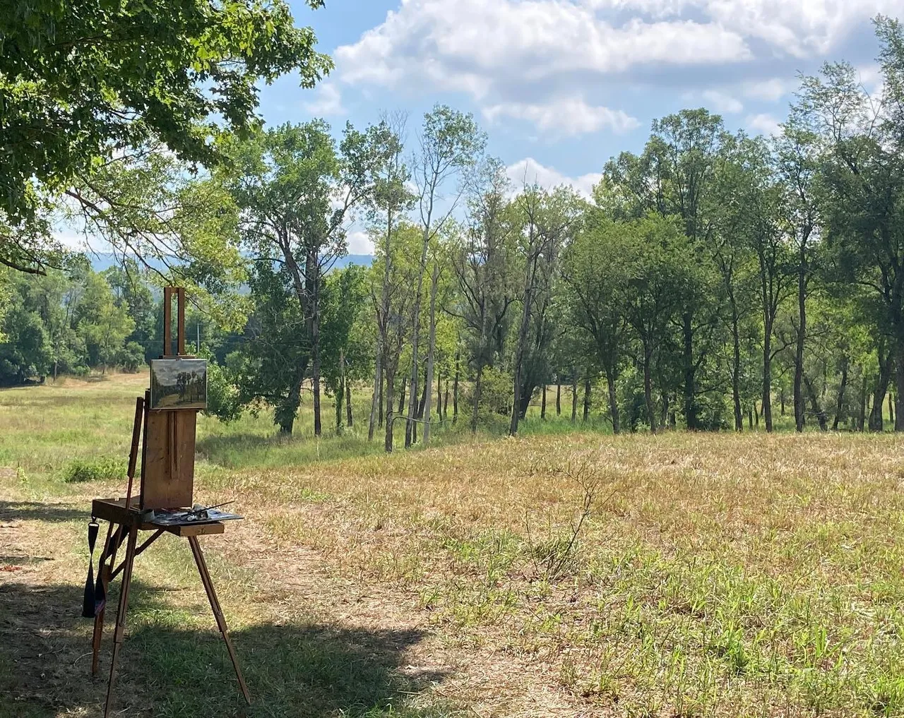 A backlit tree line/summer sky from a farm field near Great Barrington, Massachusetts. Today was hot, but found a nice shady spot. 8x10 oil on linen #berkshireslandscapespaintings #paintingsoftheberkshires #contemporarypleinair #contemporarylandscapepainter #berkshiresinsummer #pleinairlandscapepainting #summerpleinair #pleinairlandscapepainter