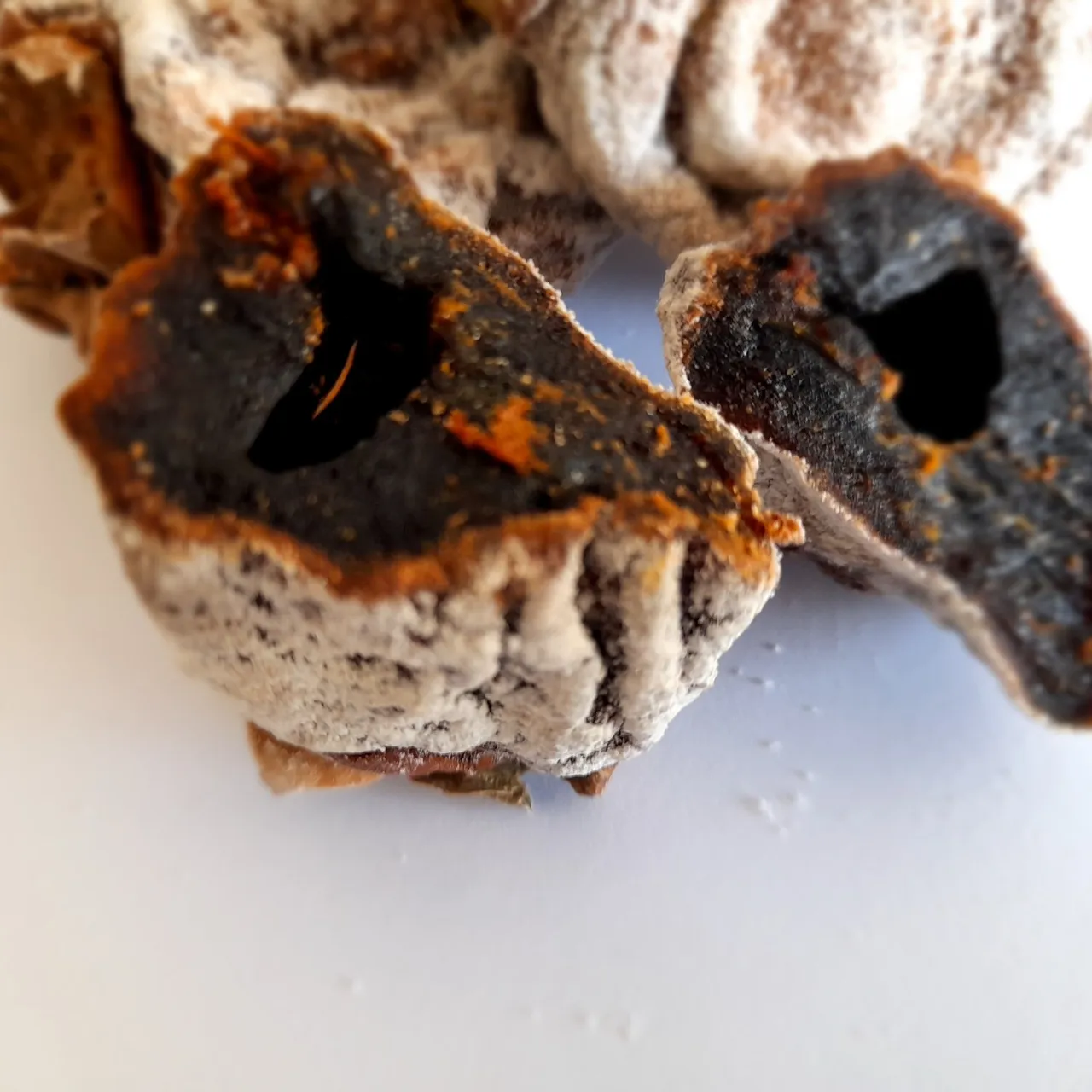 Organic Dry Hoshigaki | Natural Dried Persimmon, Sun Dried Heaven Fruit, Japanese Dried Persimmons

#etsy #etsyshop #etsyseller #etsysellersofinstagram #homemade #turkishfood #persimmon #driedpersimmon #Hoshigaki