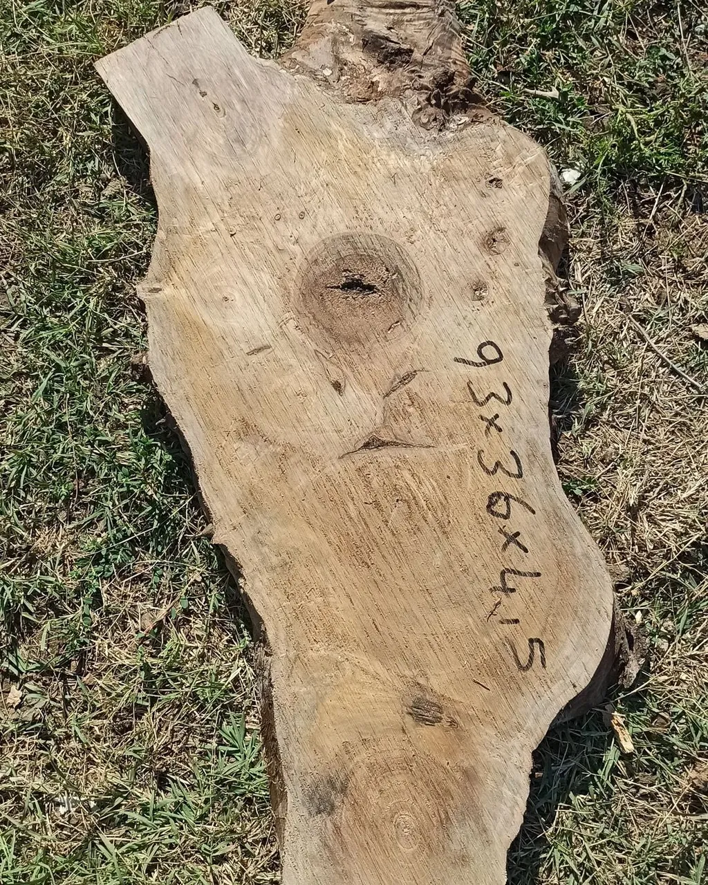 Walnut.
#ceviz
#walnutwood