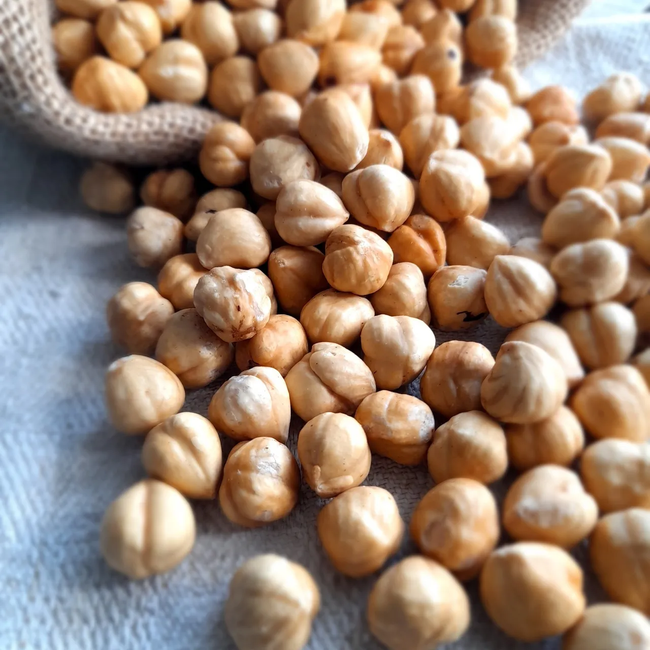 Organic Turkish Hazelnuts| Shelled-Roasted-Unsalted | Natural Hazelnuts Harvest 2022

#etsy #etsyshop #etsyseller #etsysellersofinstagram #homemade #turkishfood #hazelnut #hazelnuts #shelledhazelnuts #naturelhazelnut #organichazelnuts