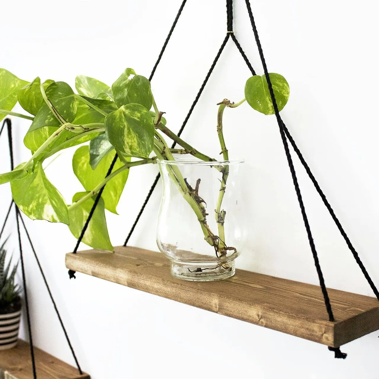Isn’t it amazing how plants can grow in water? No messy soil to wipe up!
This beautiful plant was just a humble leaf when I started to grow it, and just watch him now, sitting nicely on our GEOMETRIC SHELF🌱
.
.
.
.
.
.
.
.
.
#plantsplantsandmoreplants
#ethnicadesigns
#boholiving
#shelving
#homedecoration
#plantsmakepeoplehappy 
#indoorjungle
#plantsofinstagram 
#houseplants
#indoorplants 
#plantlove 
#urbanjunglebloggers 
#plantsarefriends 
#urbanjungle 
#plantlife