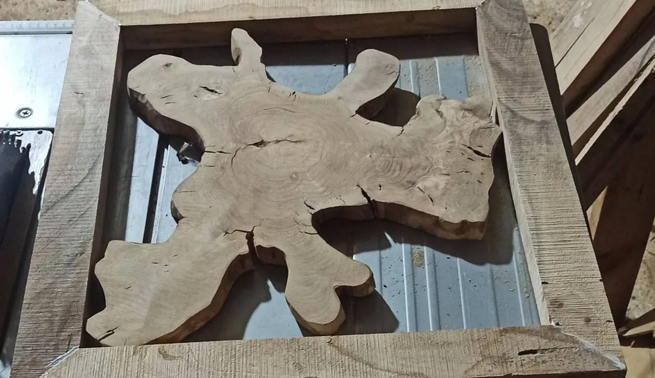 Ceviz ve zeytin birleşimi bir tasarım sonuç nasıl olacak merakla bekliyorum.
#zeytin 
#epoxytable 
#dogalahsap 
#dekor