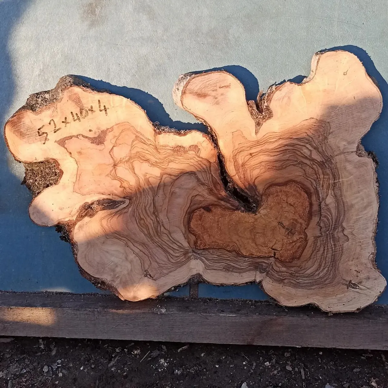 Yeni kesim epoksilik zeytin dilimleri.
#epoxytable 
#zeytinağacıürünler 
#ahşapev 
#ahşapdekor