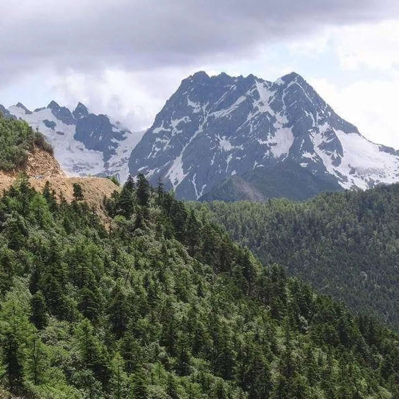 Old Village Pu Er sells locally produced tea where the tea leaves are taken from Yunnan mountains and blended in Singapore. #PuEr #Puerh #Puerhtea #ChineseTea #Tea #Singapore #China #Yunnan #Mountains
