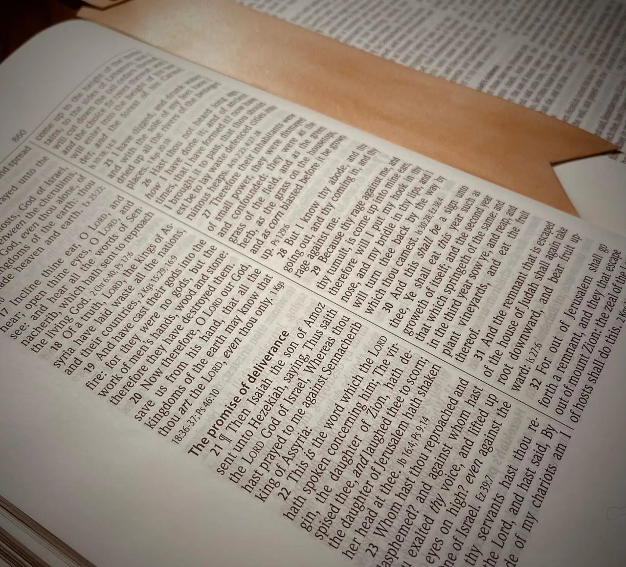 Check out new unique items only at SUEDEKLOTH! When it's time to put down your favorite book, don't risk losing your place because you can't find a bookmark or that scrap of paper you were using is now a dog chew toy! Read in style with one 100% American goat leather bookmarks. We offer several different styles. Our large 1.25" x 8.5" riveted bookmark is perfect for larger books. The tab shows you exactly where to pick up where you left off. Our smaller suede tail bookmark is 1" x 6" and works in any size book, but is especially great for smaller, lighter books. Our 2.5" square corner bookmark is our personal favorite! This works on any size book, any paper weight and texture and will never fall out! It's so easy to find what page you're on too. We love these for cookbooks - you know when you want to mark several different pages without the bulk! These make excellent gifts, too. All our leather goods are completely customizable. Let us know if you would like something special engraved on your next bookmark order.

#read #reading #chapters #chapters #favoritebooks #madeinamerica #leather #goats #goat #goatleather #gift #justbecause