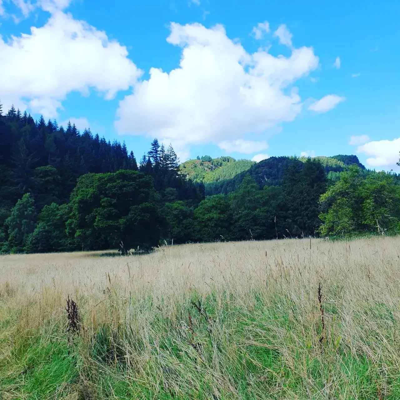 Scotland and LV bags don't require a filter, but here is to beauty, in nature or in canvas. 

I love the vintage look of this Montsouris MM and decided to finally make this long planned organiser (grey marl 3 mm, large pocket & bottleholder). 

Don't forget that bags need to be functional and this weekend was Montsouris time to shine.
Bag organiser, shaper, Upcycled canvas slider and vachetta string all available on www.luxurybagheaven.com 

#monogram #scotland #perth #scottishautumn #montsouris #montsourismm #bagorganizer #bagorganiser #lvvintage #mono #loch #river #luxurybagheaven