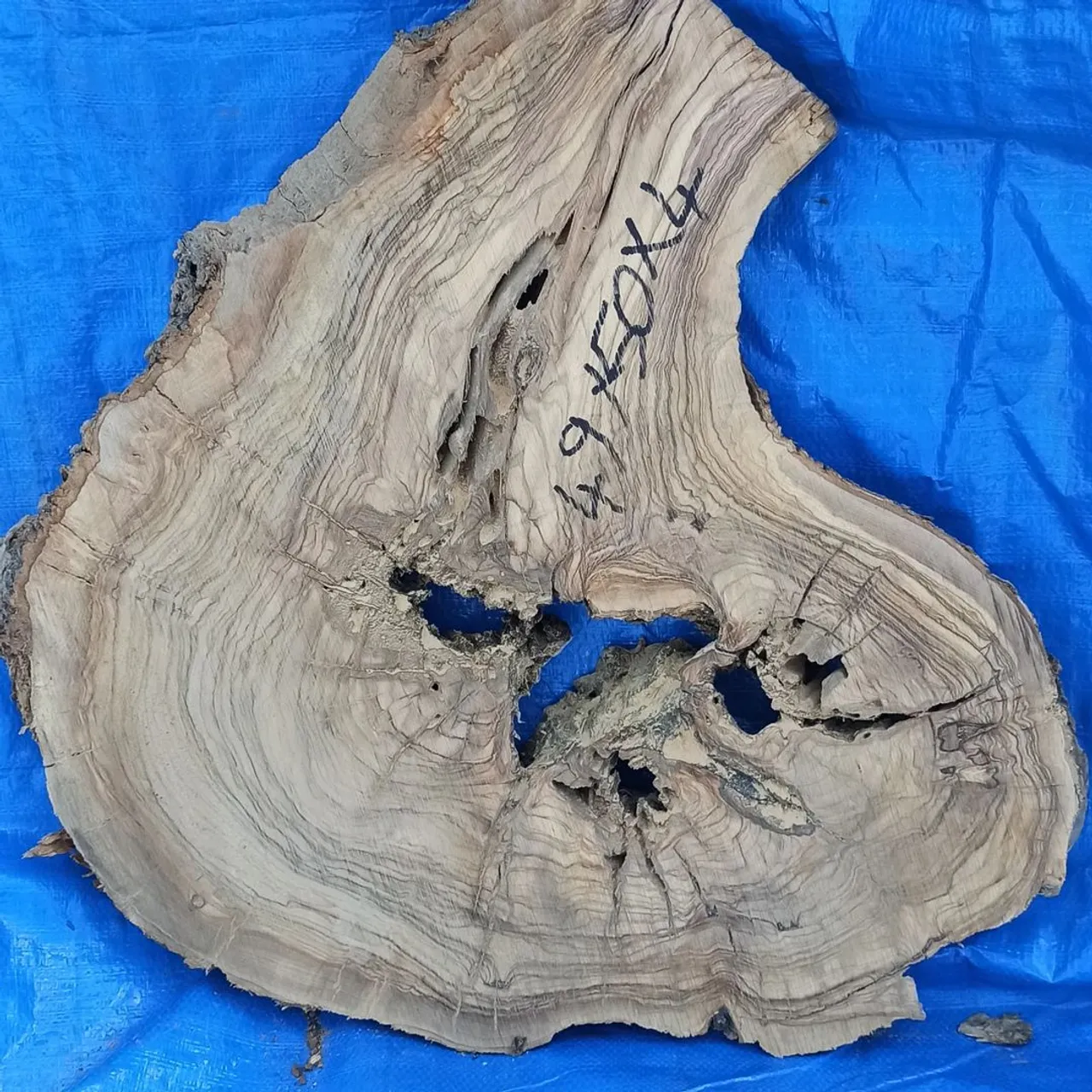 Olive wood.
#olivewood 
#olivewooddesigns