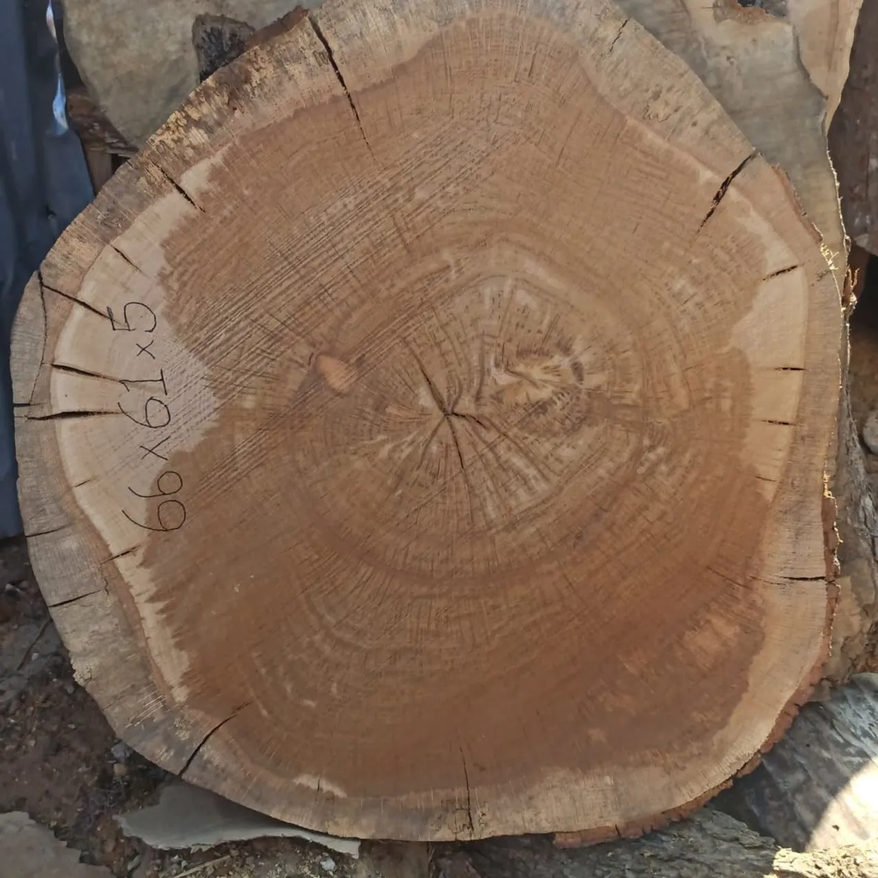 Antik meşe 4 yıllık kuru.
.
.
.
.
.
.
.
#wood #epoxy #ahşap #meşe #antikmeşe #kütük #epoxytable #masa #yemekmasasi #natural