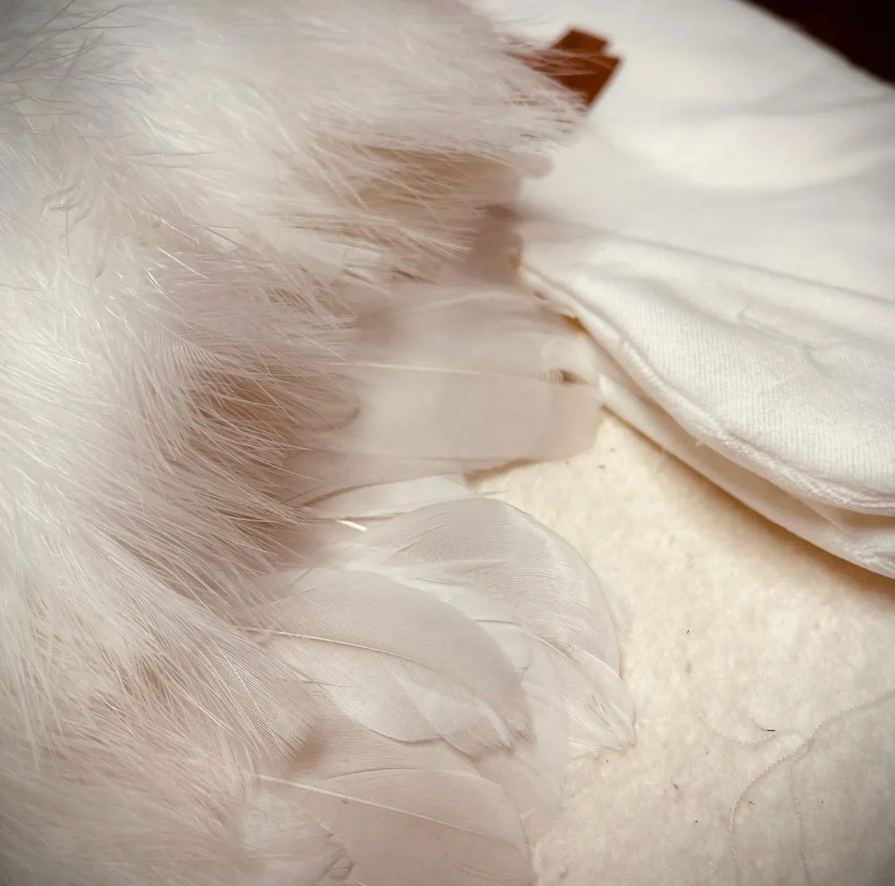 It’s stocking day here at SUEDKLOTH! Christmas is right around the corner and it might be time to refresh your decor. Order your handmade in America Christmas stockings now so you have them in time for your holiday decorating! #christmas #christmasstockings #fireplace #christmaseve #holiday #decor #handmade #mantledecor #cookies #madeinamerica #velvet #feathers