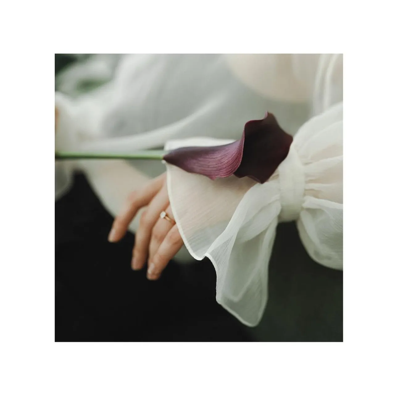 New model blouse 

Natural silk organza, pleated fabric, voluminous sleeves
