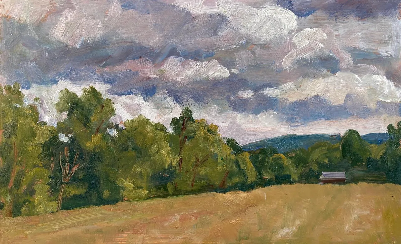 3 little oils from a field in August. The trees are pretty good models, but clouds won’t hold a pose. 6x9 panels #berkshires #berkshireslandscapespaintings #pleinairlandscapepainting #berkshiresfineart #berkshirespleinair #southcountyberkshires #paintingsoftheberkshires