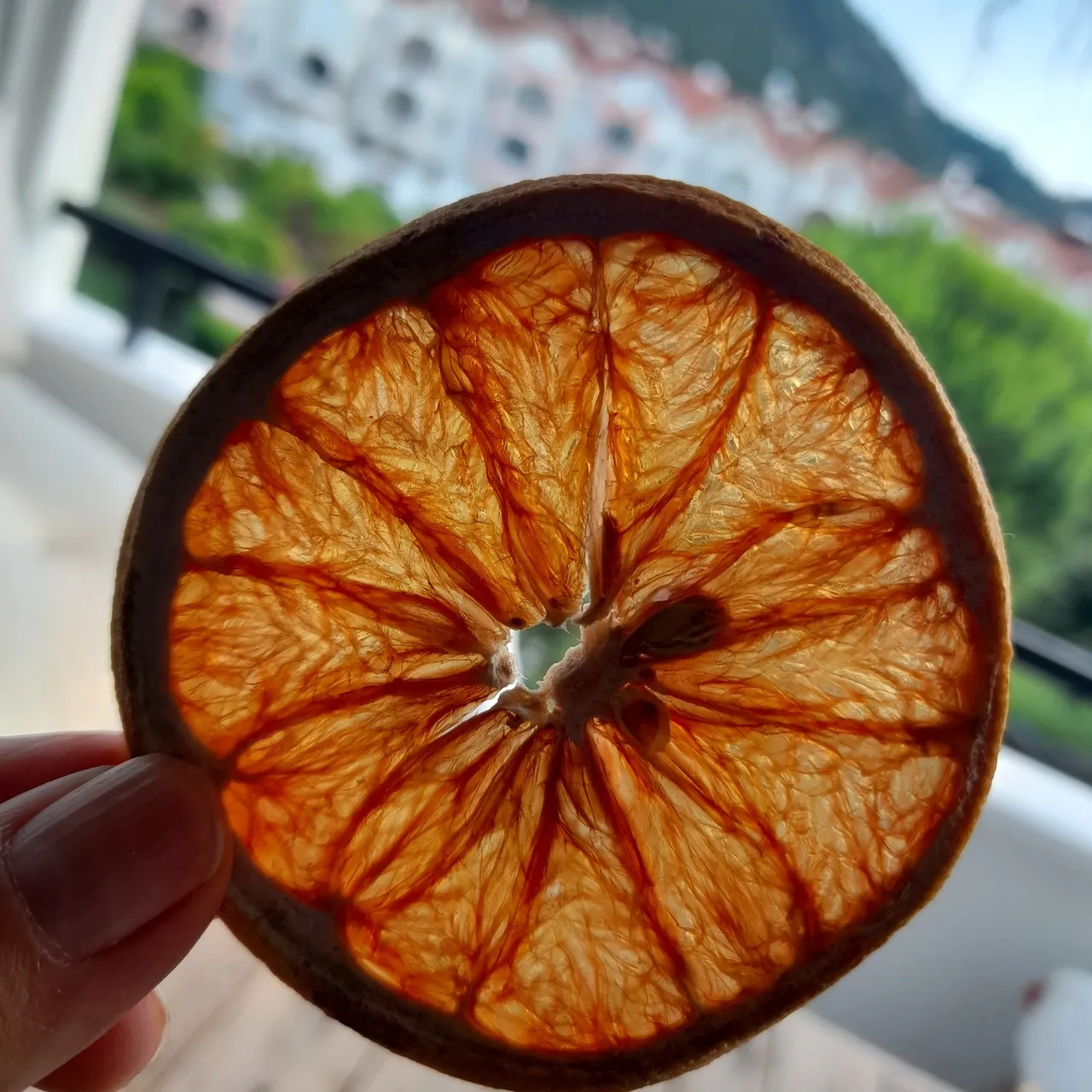 Dried Natural Orange Slices | Organic Dried Orange | Premium Orange Slices | Sun Dried Orange Slices

#etsy #etsyshop #etsyseller #etsysellersofinstagram #homemade #orange #orangeslices #driedorange