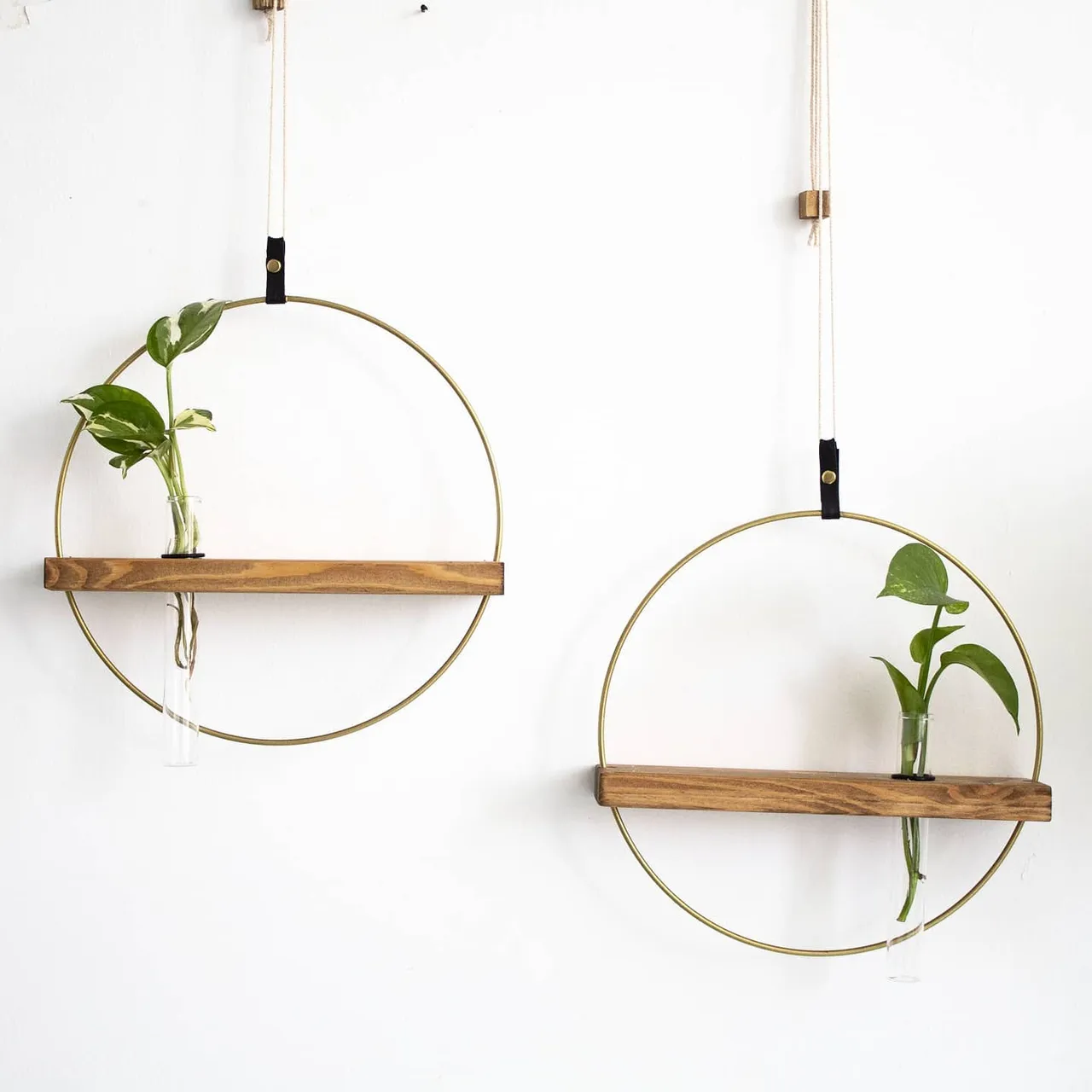 Let's talk about PROPAGATION🌱
We all want our houses to be blossoming and alive, well... it doesn't requires much care!

You have plants everywhere so all you need to do is pick your favorite and follow these steps👇
1.Select a healthy parent plant from which to take cuttings.
2.fill glass tubes with watter- use our propagation shelves.
3. Find the best stems for cuttings and crop them out.
4. Place them inside the filled water tubes.
5. Wait for them to take out roots.

That EASY☘🍀🌿🌱
.
.
.
.
.
.
.
.
.
.
.
.
#plantsmakepeoplehappy
#plantmom 
#homedecorstyling 
#bohemianhomedecor 
#boholiving
#plantstyling 
#plantcuttings 
#bohemianliving
#babyplant 
#plantpeaple 
#plantsplantsandmoreplants 
#plantsinmyspace 
#plabtbabies 
#hangingplants