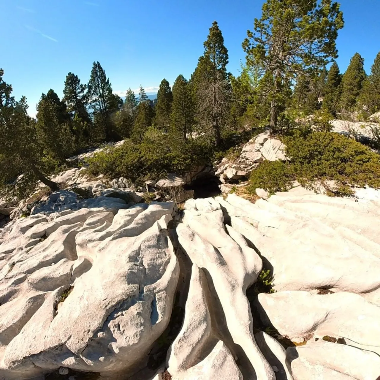 L'eau qui sculpte la roche ! l'hiver quand c'est recouvert de neige certains randonneurs marchent dans ces crevasses sans le savoir, parfois il n'y a pas assez de neige pour empêcher le pieds de s'enfoncer jusqu'où la nature le décide ...

#exploration #aventure #voyageenfrance #alpes #grotte #cave #montagne #mountains #paysage #naturephotography #trekking #rando