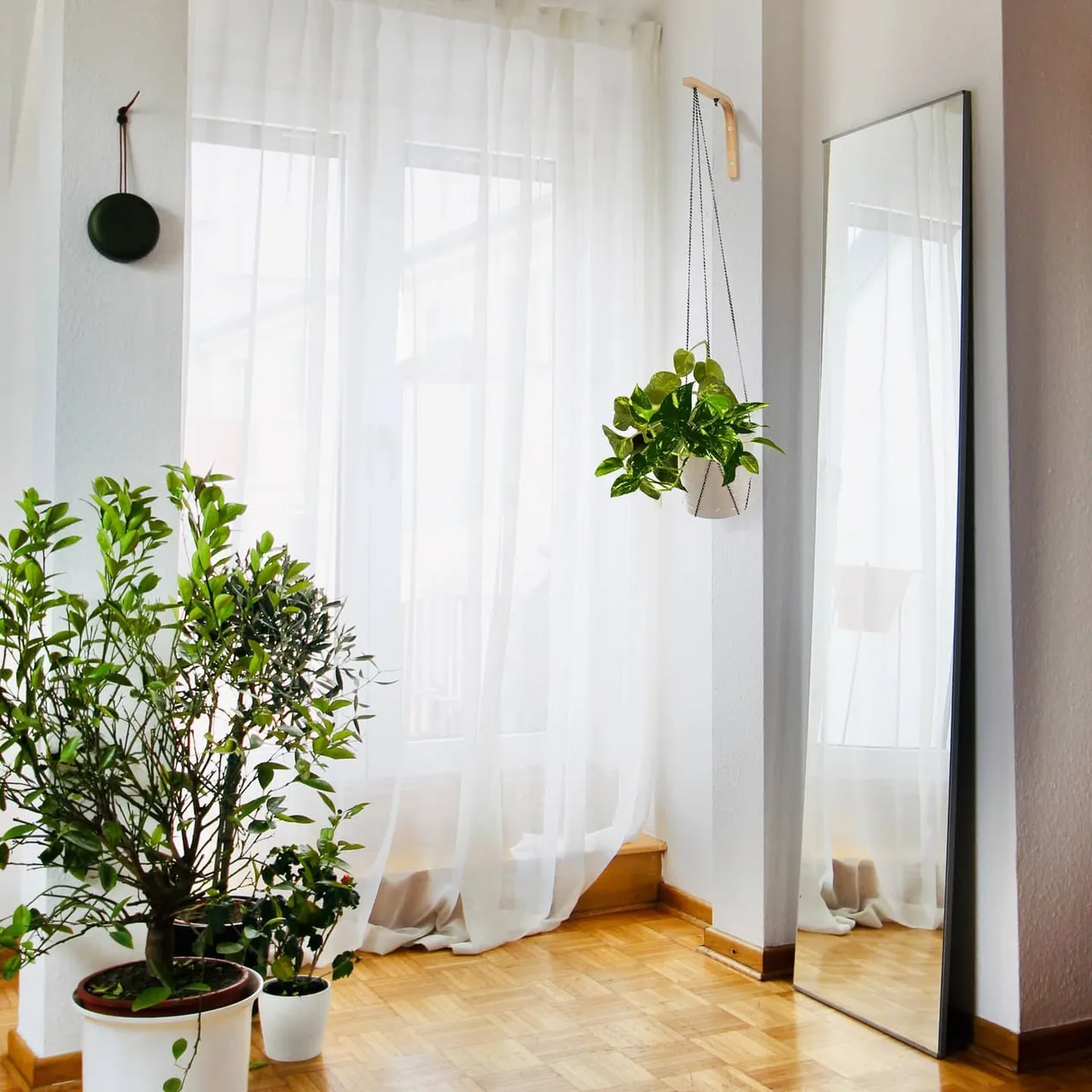 Tip #1 Let in natural light: Natural light is absolutely free and it makes humans feel wonderful! Insert it into your home daily, replace heavy drapery with lighter fabrics and/or sheers, hang living plants and you will see immediately how the outdoors pours into your space 🌱🍀☘
Tap the link in our bio to shop our plant hangers>>
.
.
.
.
.
.
.
.
.
.
.
.
#houseplants
#hangingplanter
#homedecor
#crazyplantlady
#urbanjungleblogger
#indoorplants
#urbanjungle
#plantsmakepeoplehappy
#decoracao
#designdeinteriors
#interiorinspo
#interior123
#designing
#designlife
#supportsmallbusiness
#supportetsysellers