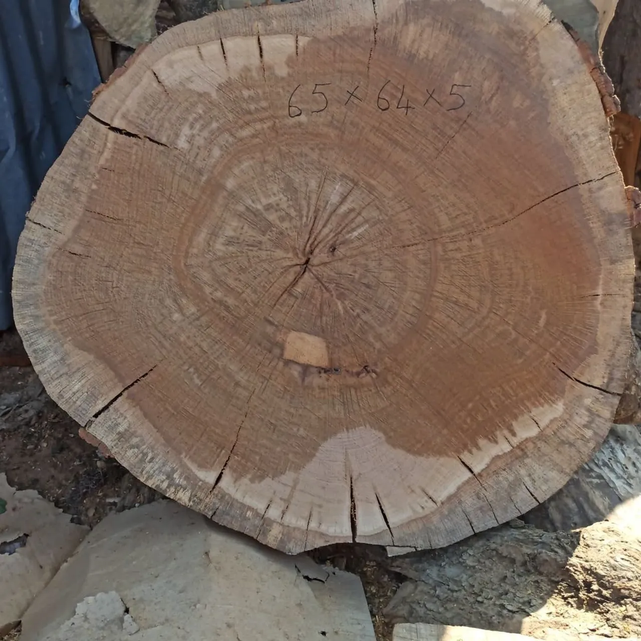 Antik meşe 4 yıllık kuru.
.
.
.
.
.
.
.
#wood #epoxy #ahşap #meşe #antikmeşe #kütük #epoxytable #masa #yemekmasasi #natural