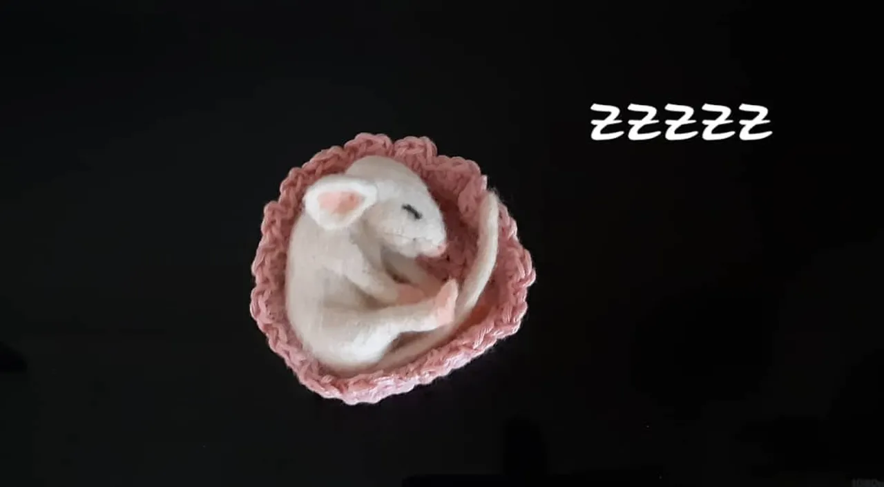 Vilten#mouse#sleepy#