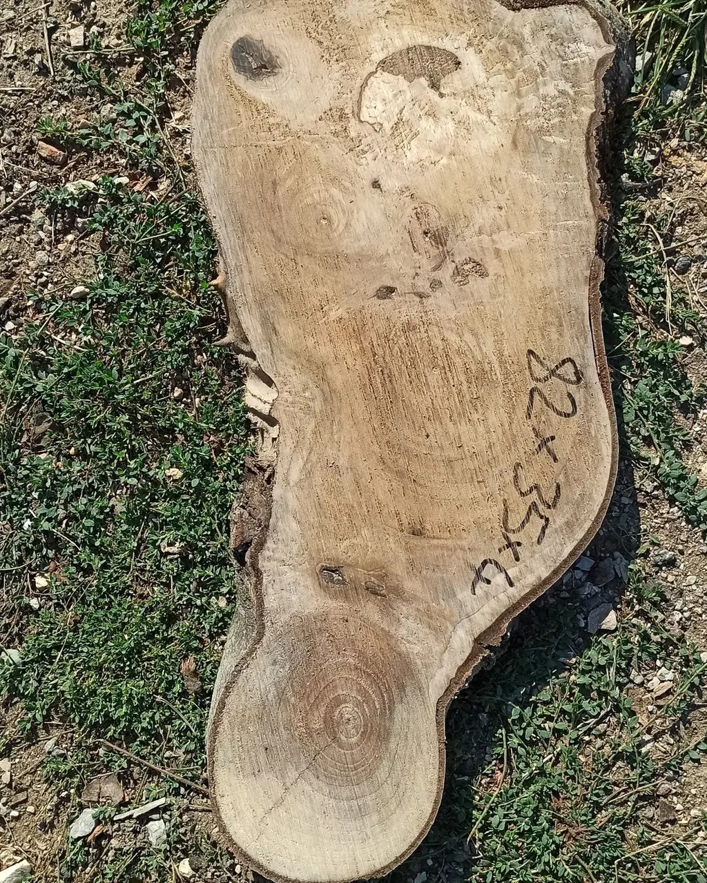 Walnut.
#ceviz
#walnutwood