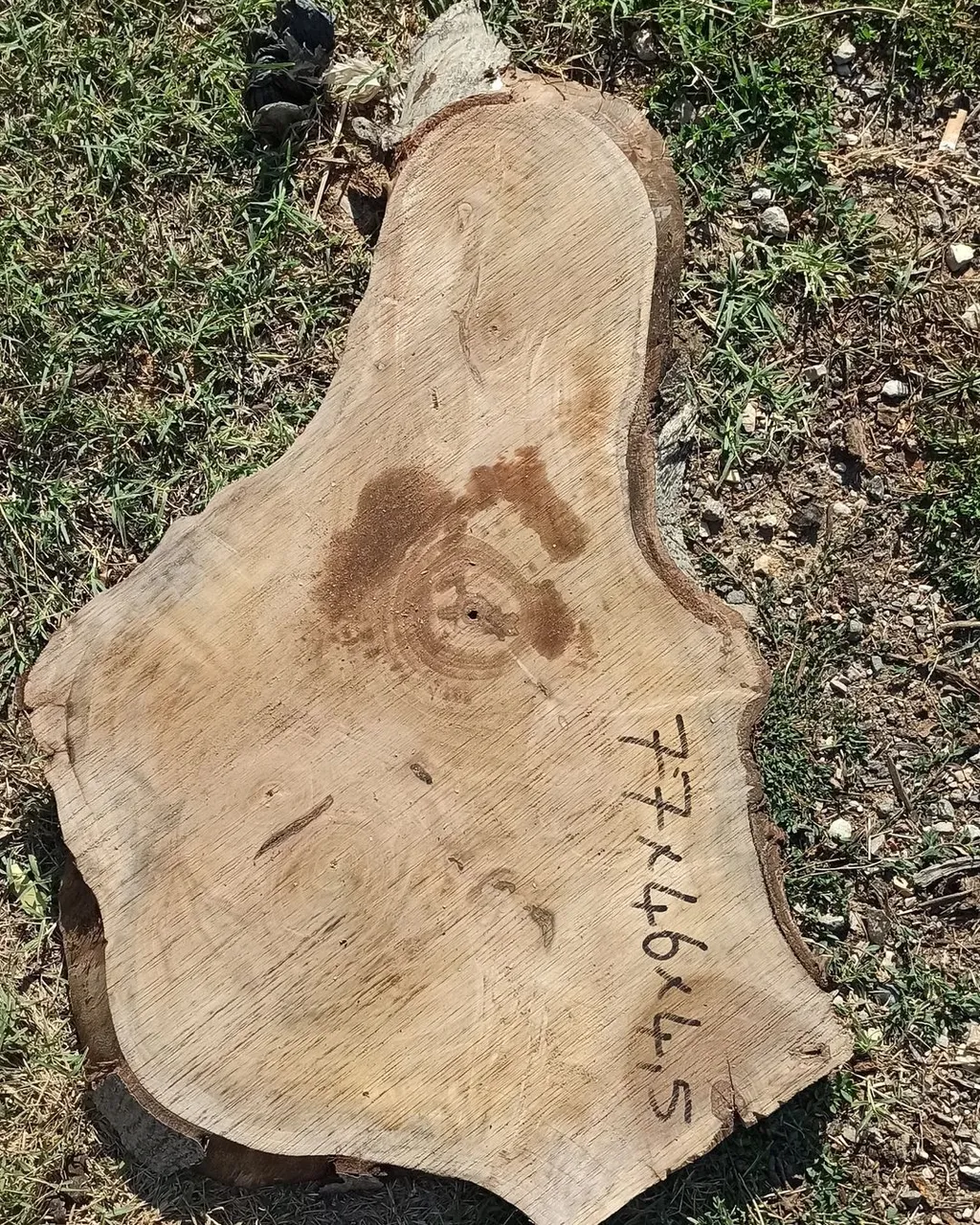 Walnut.
#ceviz
#walnutwood
