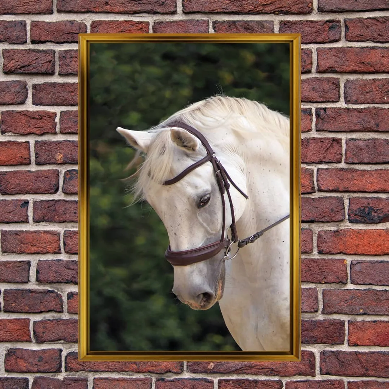 Print on canvas #chart
#wall art
#canvas