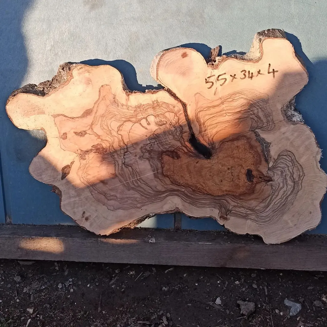 Yeni kesim epoksilik zeytin dilimleri.
#epoxytable 
#zeytinağacıürünler 
#ahşapev 
#ahşapdekor