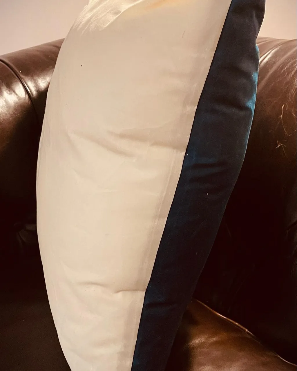 New indoor outdoor pillows only from @suedeklothusa these beautiful artisan pillows are made of 100% American waxed cotton to withstand the elements. This is the same fabric our military uses for coats, bags, etc. adorned with leather detailing these reversible pillows are sure to dress up any outdoor space - or indoor!choose your front and back color or use the same color on each side! Get yours today from the link in the bio.
#pillow #pillows #outdoors #swing #porch #porchdecor #porchlife #porchswing #porchsitting #americanmade #usa #waxedcanvas