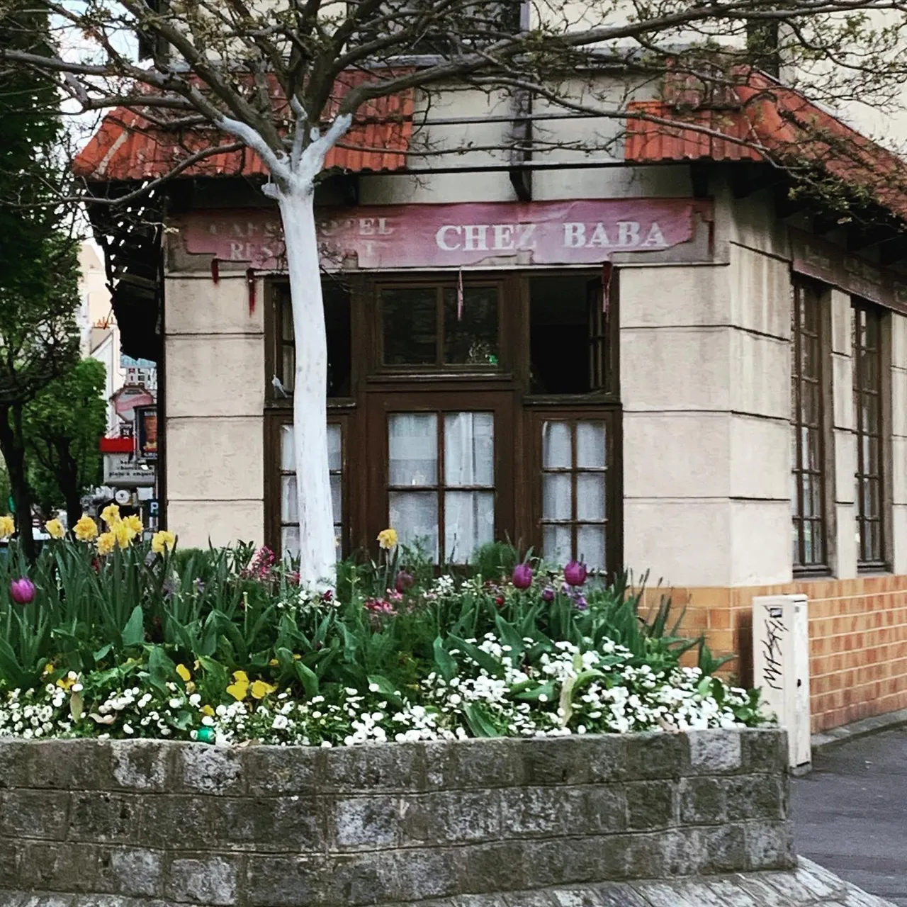 #promenade #voisin #fleurs #maron #brown #insperation #insperationbrown #paris