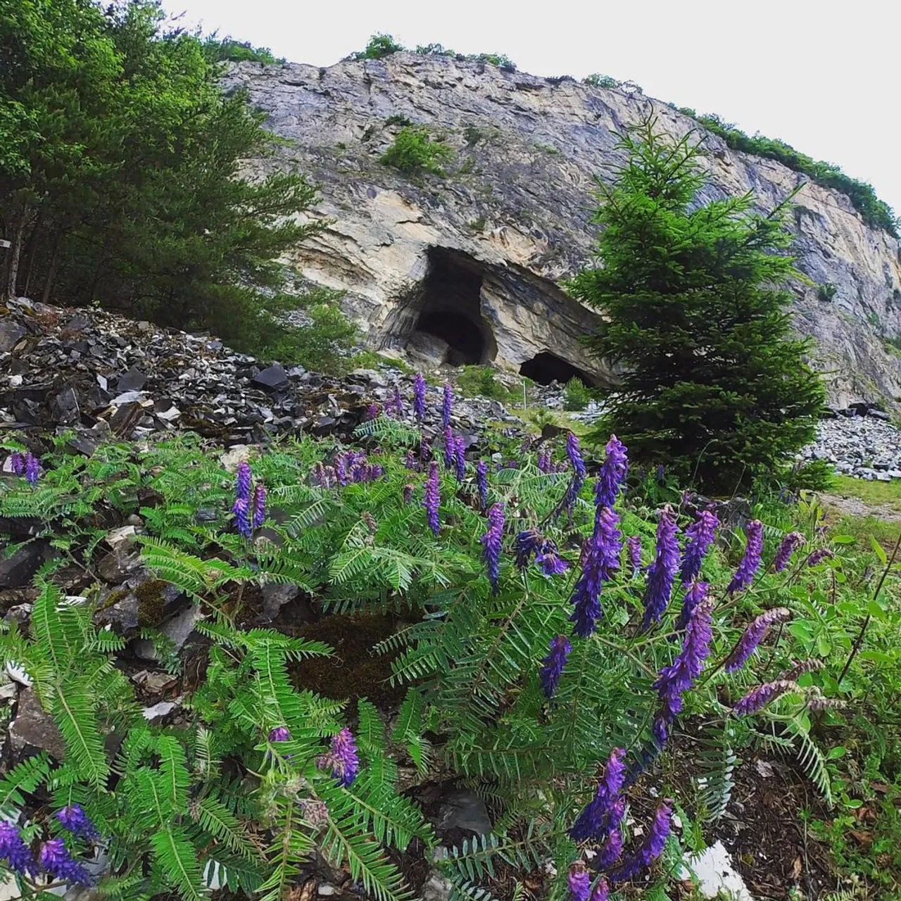 Continuez de faire ce que vous aimez ! Le reste est secondaire #dare2dreambig #mountain #alpessuisses #saillon #carrieredemarbre #marbre #grotte #mineabandoned #mine #speleology