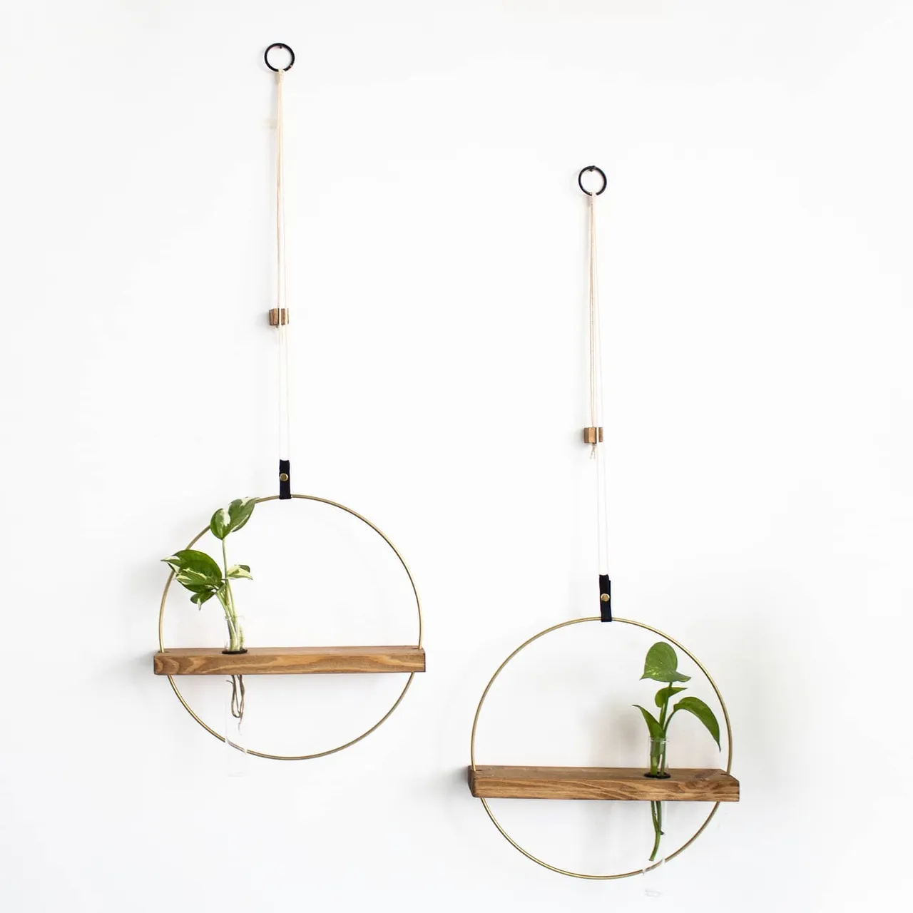 Let's talk about PROPAGATION🌱
We all want our houses to be blossoming and alive, well... it doesn't requires much care!

You have plants everywhere so all you need to do is pick your favorite and follow these steps👇
1.Select a healthy parent plant from which to take cuttings.
2.fill glass tubes with watter- use our propagation shelves.
3. Find the best stems for cuttings and crop them out.
4. Place them inside the filled water tubes.
5. Wait for them to take out roots.

That EASY☘🍀🌿🌱
.
.
.
.
.
.
.
.
.
.
.
.
#plantsmakepeoplehappy
#plantmom 
#homedecorstyling 
#bohemianhomedecor 
#boholiving
#plantstyling 
#plantcuttings 
#bohemianliving
#babyplant 
#plantpeaple 
#plantsplantsandmoreplants 
#plantsinmyspace 
#plabtbabies 
#hangingplants