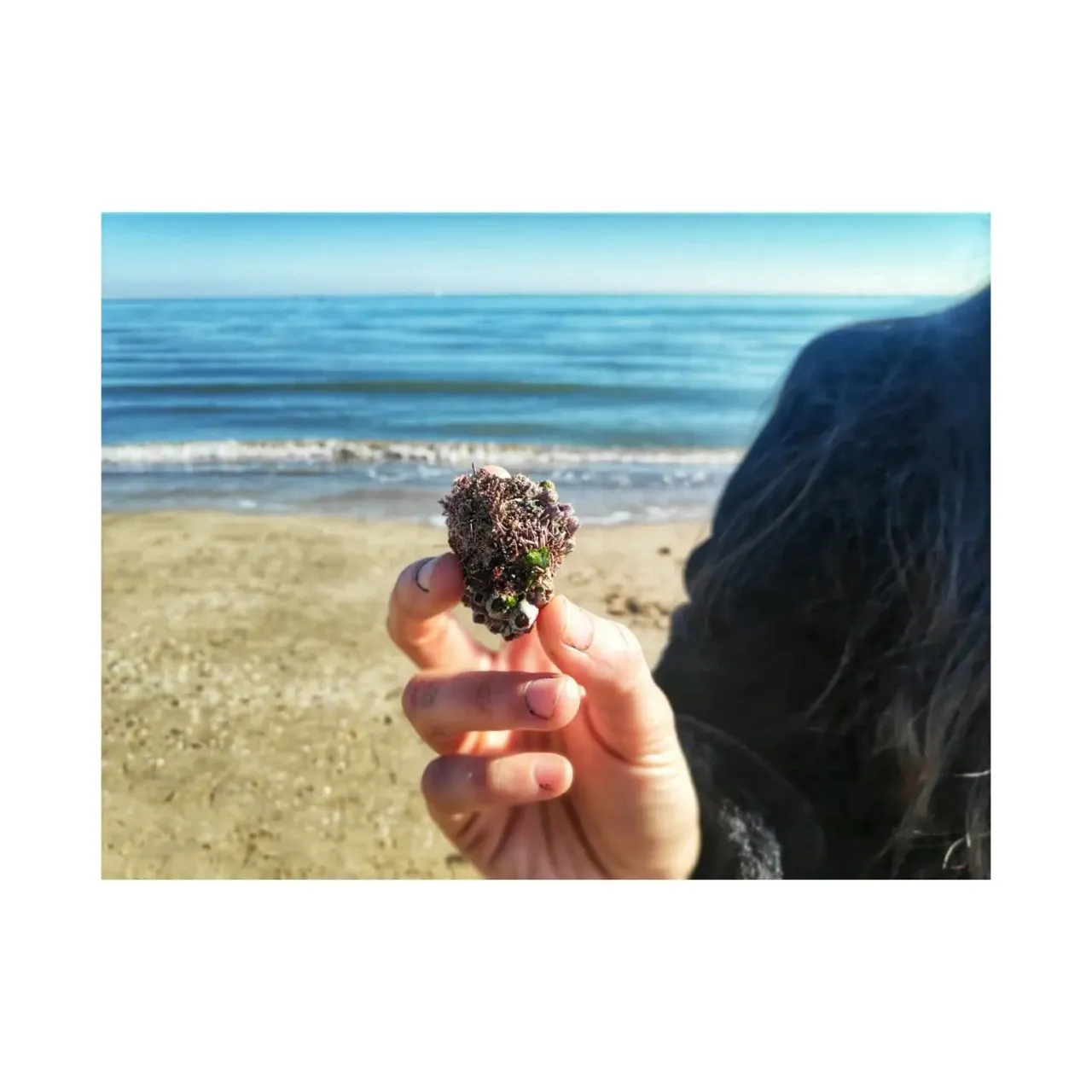 Looking forma inspiration and energy's ⚡⚡⚡
Nothing better to get inspired than the natural world. I am so lucky to live near the beach.
#artistlife #artistsupport #artistinspiration #artistinspired #artandlife #artandlifestyle #beachlife #beachvibes #beachday #natureinapiration