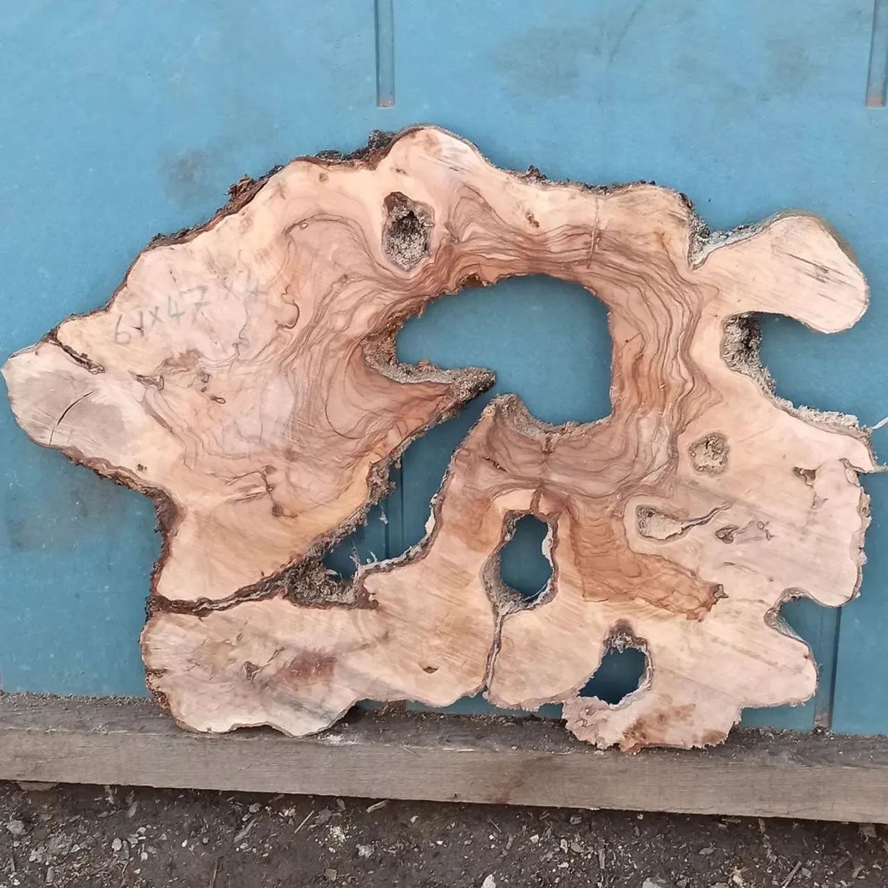 Yeni kesim epoksilik zeytin dilimleri.
#epoxytable 
#zeytinağacıürünler 
#ahşapev 
#ahşapdekor