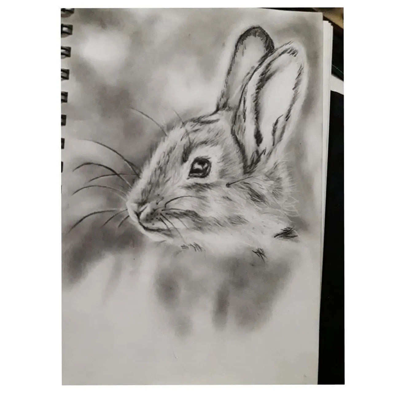 •• Q U I C K •• S K E T C H ••
.
.
.
#sketching #sketchbook #sketch #art #artlovers #arte #charcoal #artoftheday #artlife #artist #artwork #artaccount #artgallery #artlovers #artofinstagram #artofdrawing#artsy #artistsoninstagram #pencildrawings #pencilart