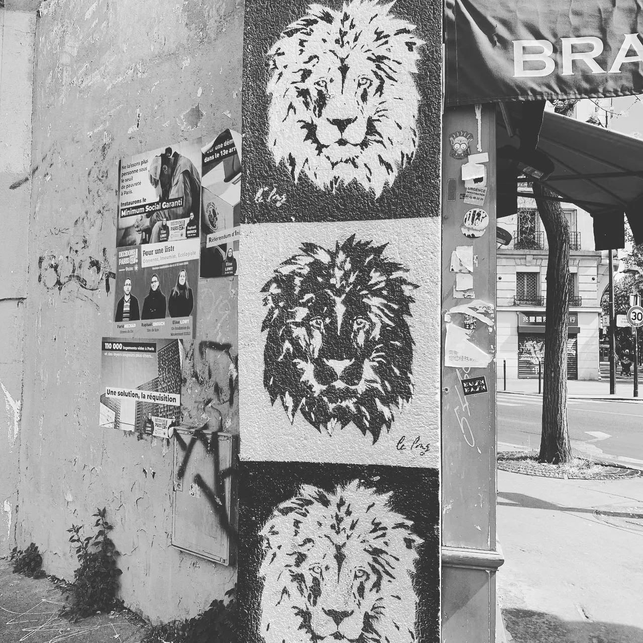 #paris 산책중에 발견한 #esnim #lion