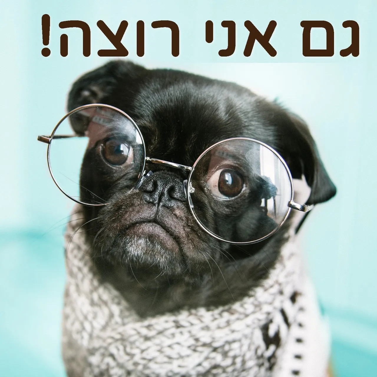 נוספו תאריכים לסוף החופש הגדול!
ארבעה ימים של סדנה פעילה בדגש על הכרת טכניקות היסוד בצורפות. יחס אישי ויצירת תכשיטים בפועל, מאפשרת לכל אחד להכיר "דרך הידיים" את העולם המרתק של הצורפות והתוצאה – תכשיטים בעיצוב אישי לשימוש אישי של הנער או הנערה או כמתנה לאדם אהוב.
8-11 באוגוסט 2022
22-25 באוגוסט 2022
חשוב שתדעו:
- אין צורך בידע מוקדם
- הסדנה מיועדת לבני ובנות 12 ומעלה ומתאימה גם לקבוצת חברים
- הסדנה מתקיימת בסביבה בטוחה תוך שימוש בכלי צורפות מקצועיים ובליווי צמוד של הצורפת שרון אור
- אפשר לרכוש שובר מתנה לסדנה
הרשמה בקישור 👇
https://www.dream-smith.co.il/סדנאות-צורפות-לנוער
052-3449584
חלום צרוף - תכשיטים בעיצוב אישי | בית הספר לצורפות במודיעין | לימודי צורפות (גם) אונליין | סדנאות צורפות חווייתיות | מיחזור ושידרוג תכשיטי זהב
#צורפים_צעירים #עיצוב #תכשיטים #צורפות #תכשיטנות #נוער #סדנה #קיץ2022 #מודיעין #רחובות #מכבים #רעות #יצירה #שוהם #שילת #כפררות #לפיד #חבלמודיעין #סדנתצורפות #טבעות #עגילים #תליונים #צמידים #youth #metalsmithing #workshops #modiin #summer2022 #jewelry #nofayalon